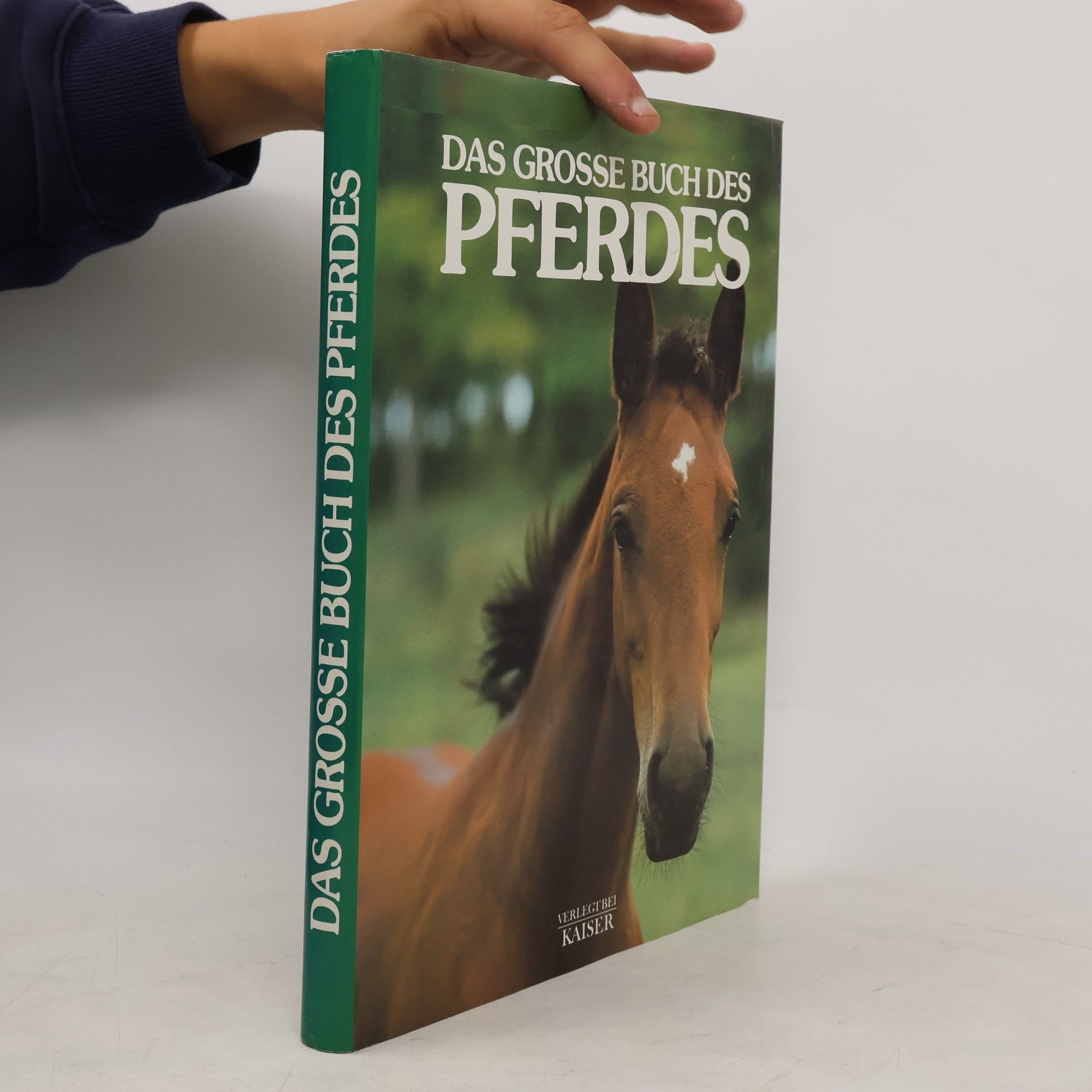 Luciano De Maria Das grosse Buch des Pferdes