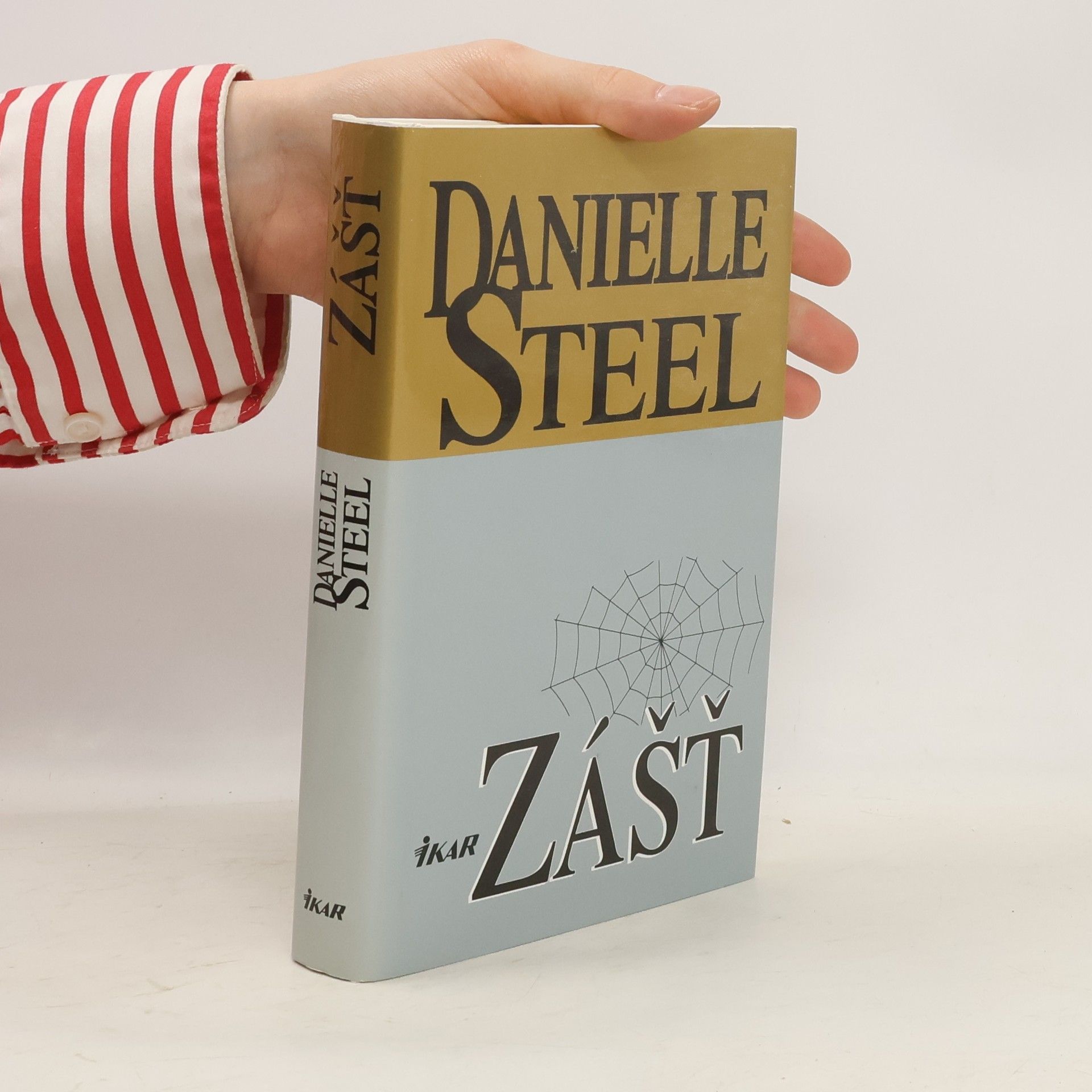 Danielle Steel Zášť