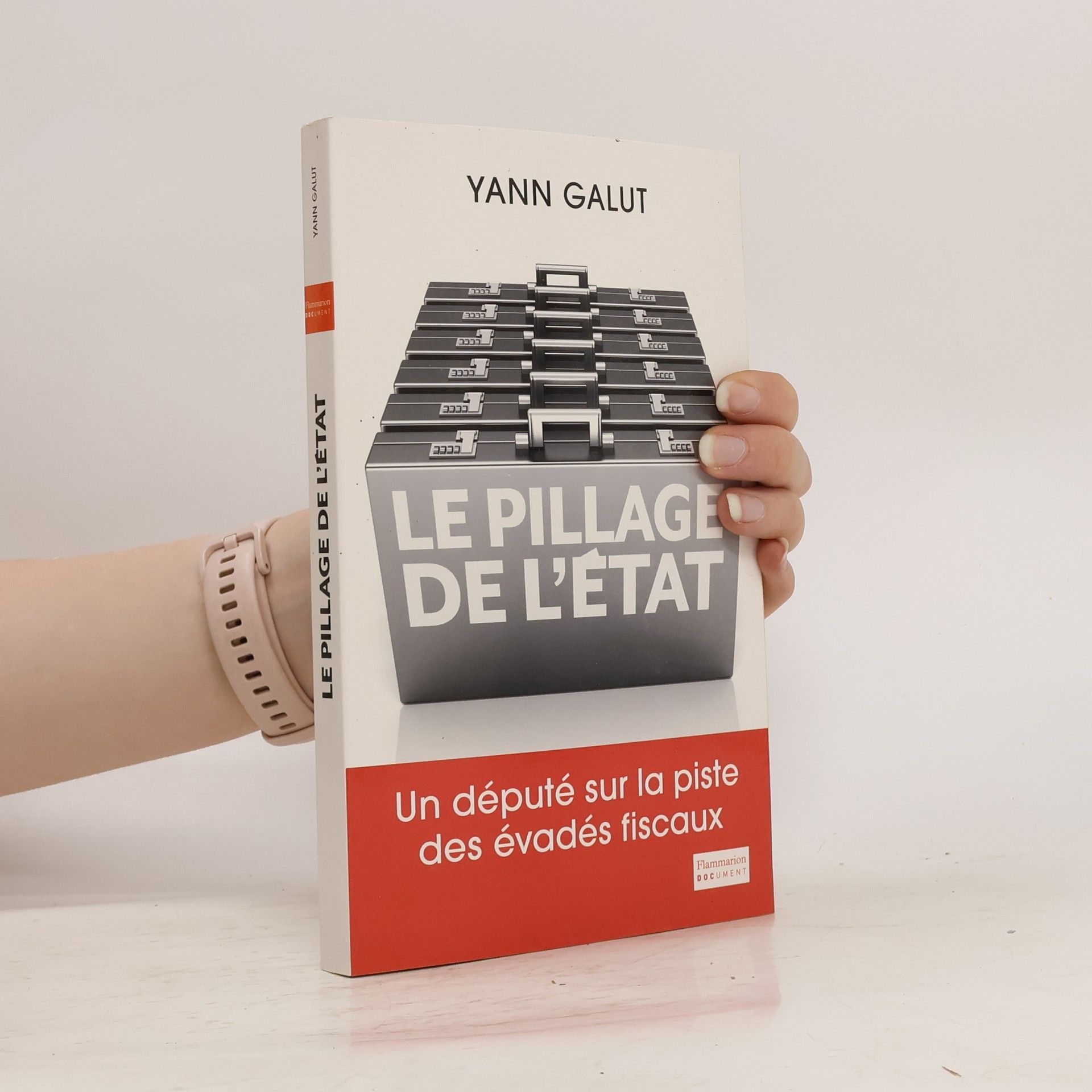 Yann Galut Le pillage de l'état