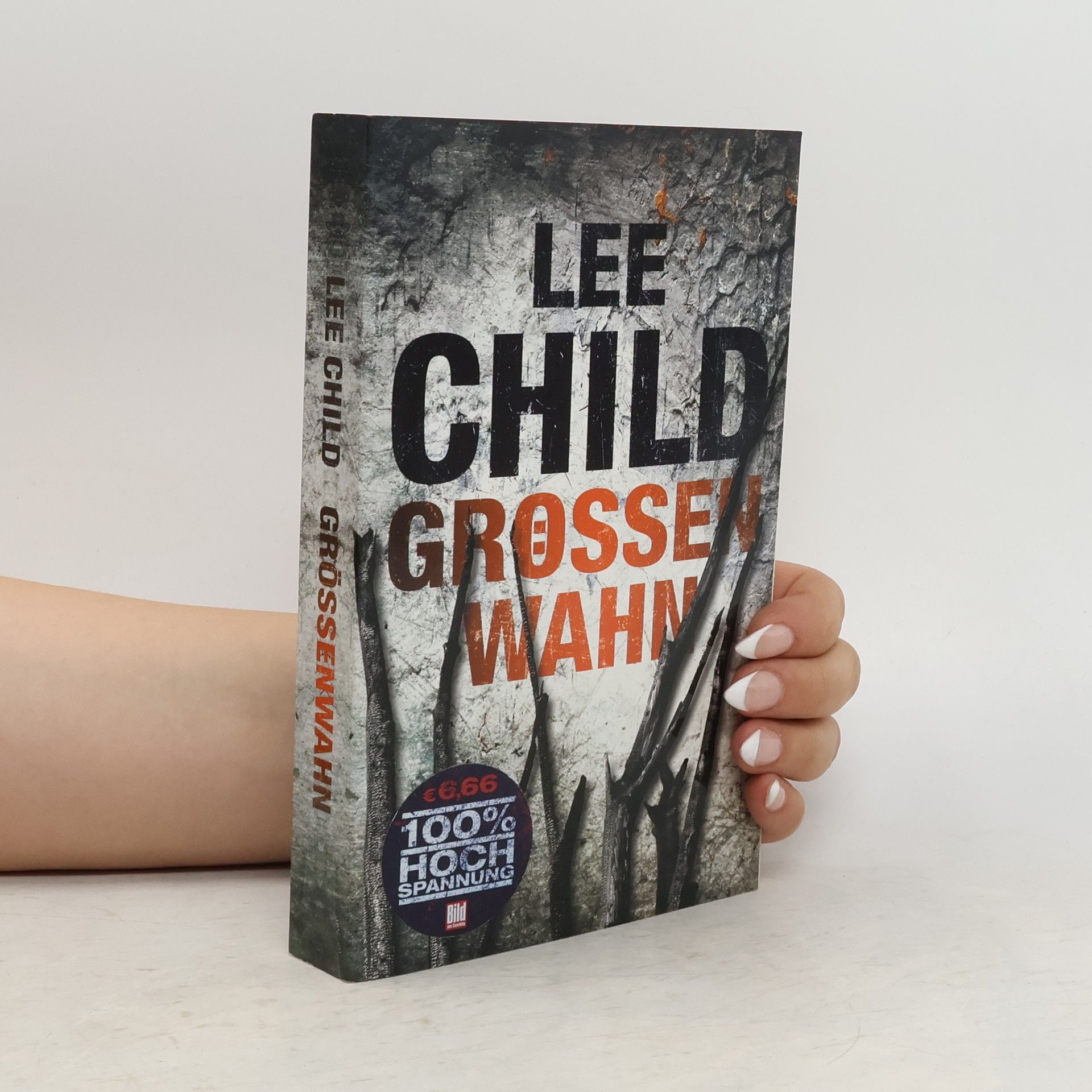 Lee Child Grössenwahn