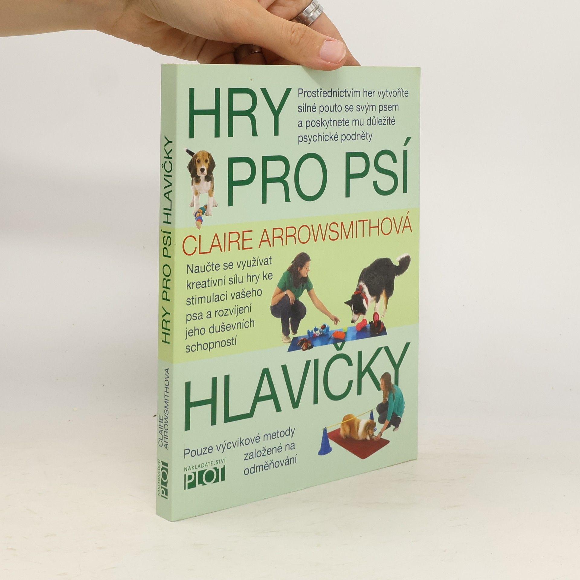 Claire Arrowsmith Hry pro psí hlavičky