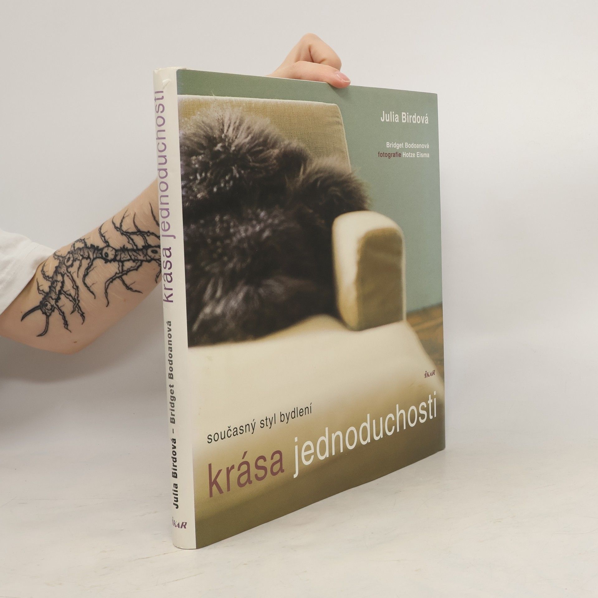 Hotze Eisma Krása jednoduchosti : současný styl bydlení