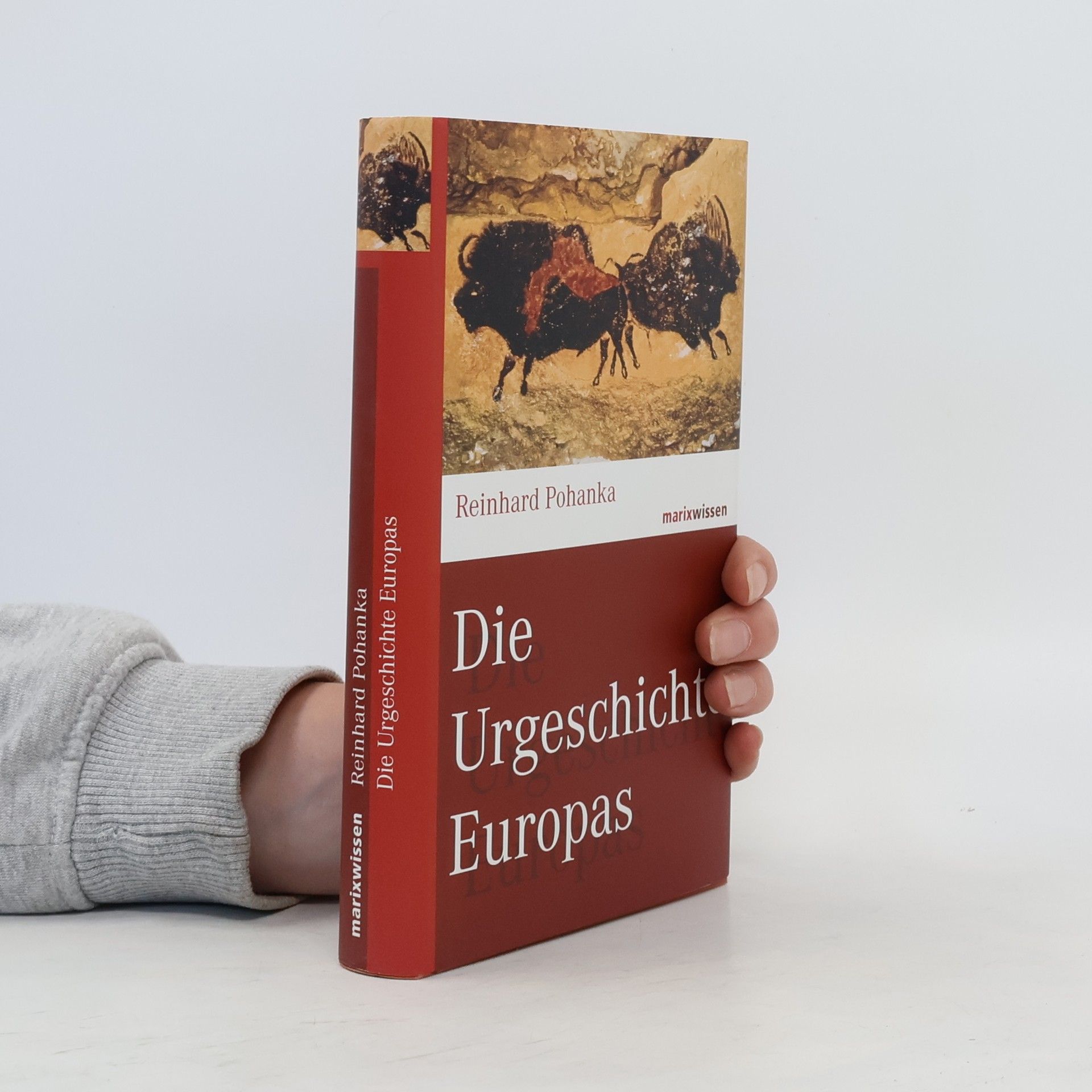 Reinhard Pohanka Die Urgeschichte Europas