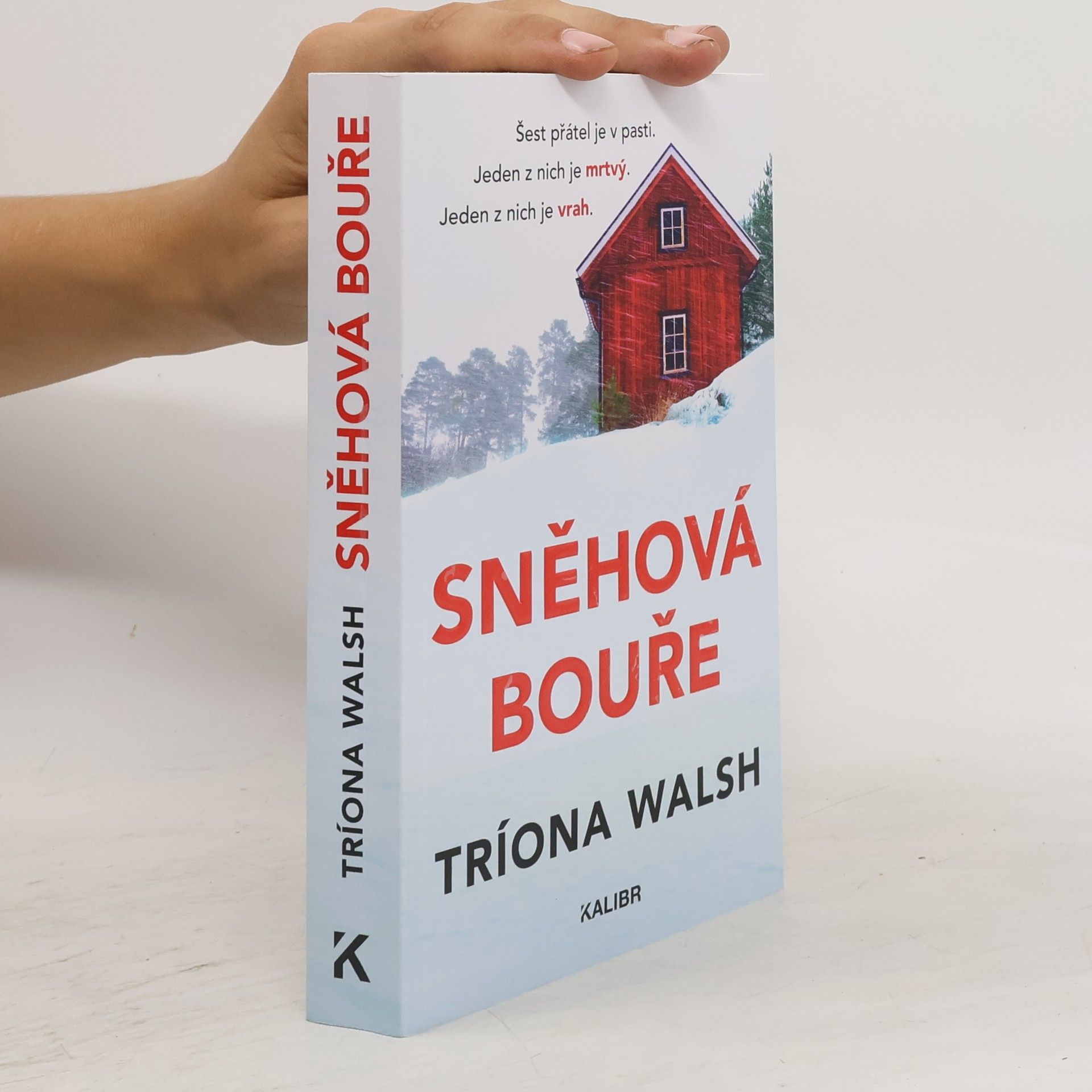 Tríona Walsh Sněhová bouře