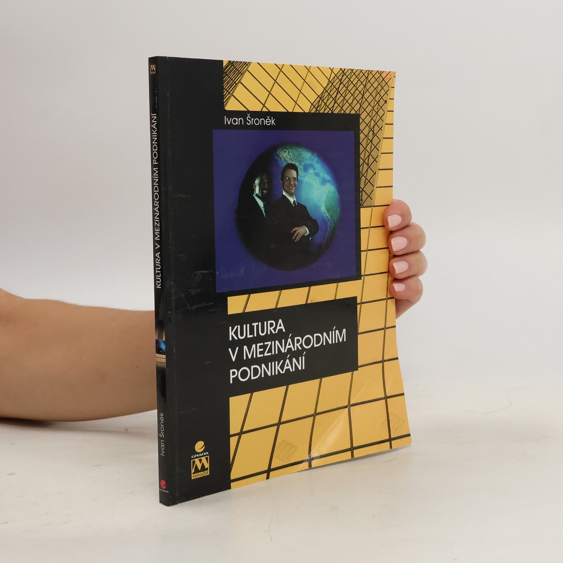 Ivan Šroněk Kultura v mezinárodním podnikání