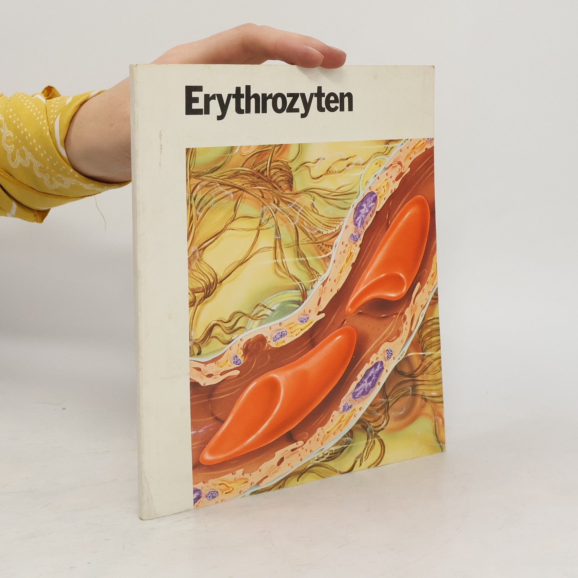 kolektiv Erythrozyten