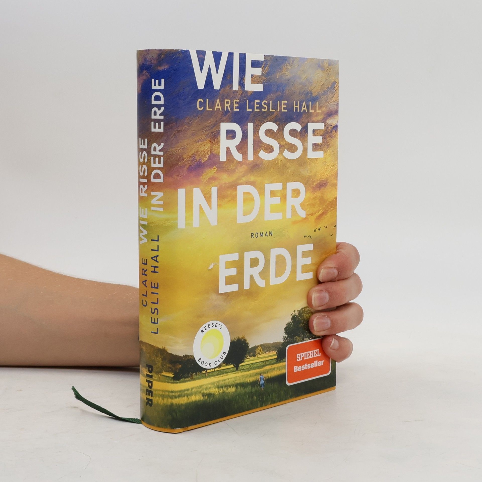 Clare Leslie Hall Wie Risse in der Erde