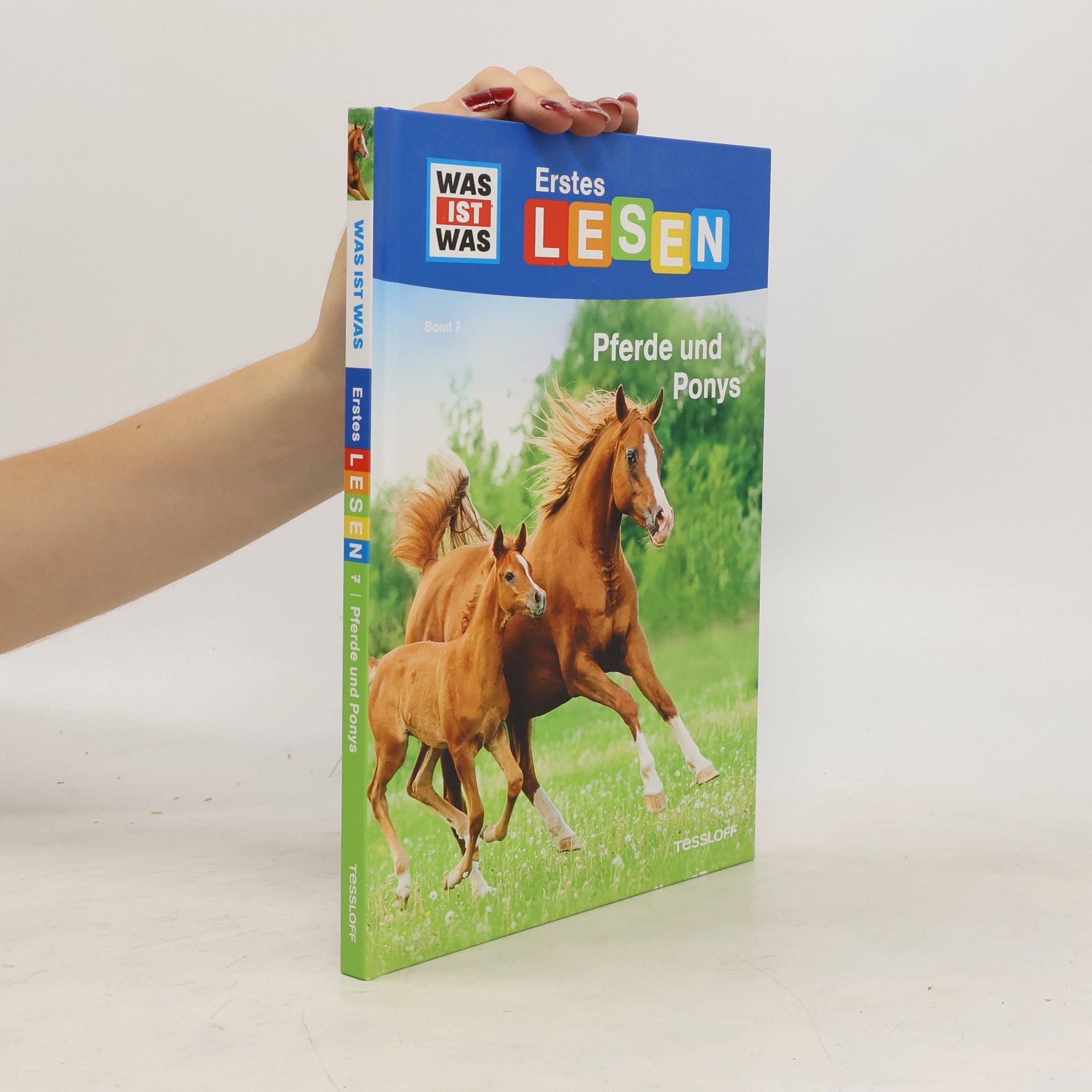 Christina Braun Pferde und Ponys