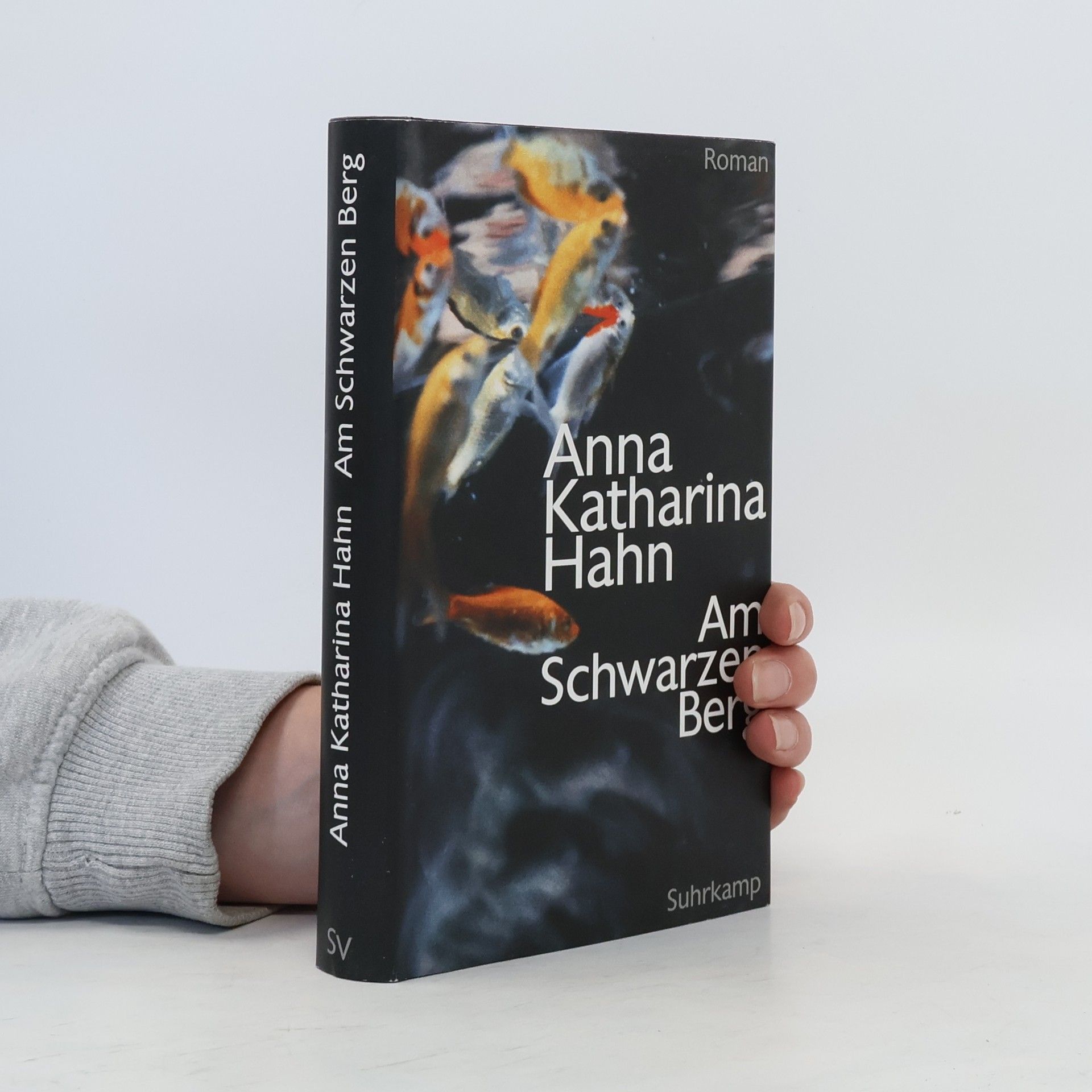 Anna Katharina Hahn Am Schwarzen Berg