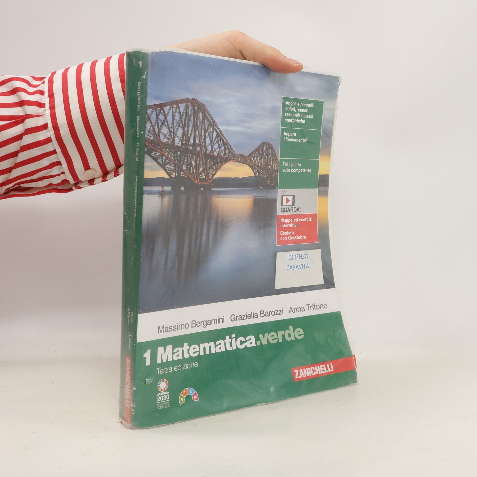 Massimo Bergamini 1 Matematica.verde