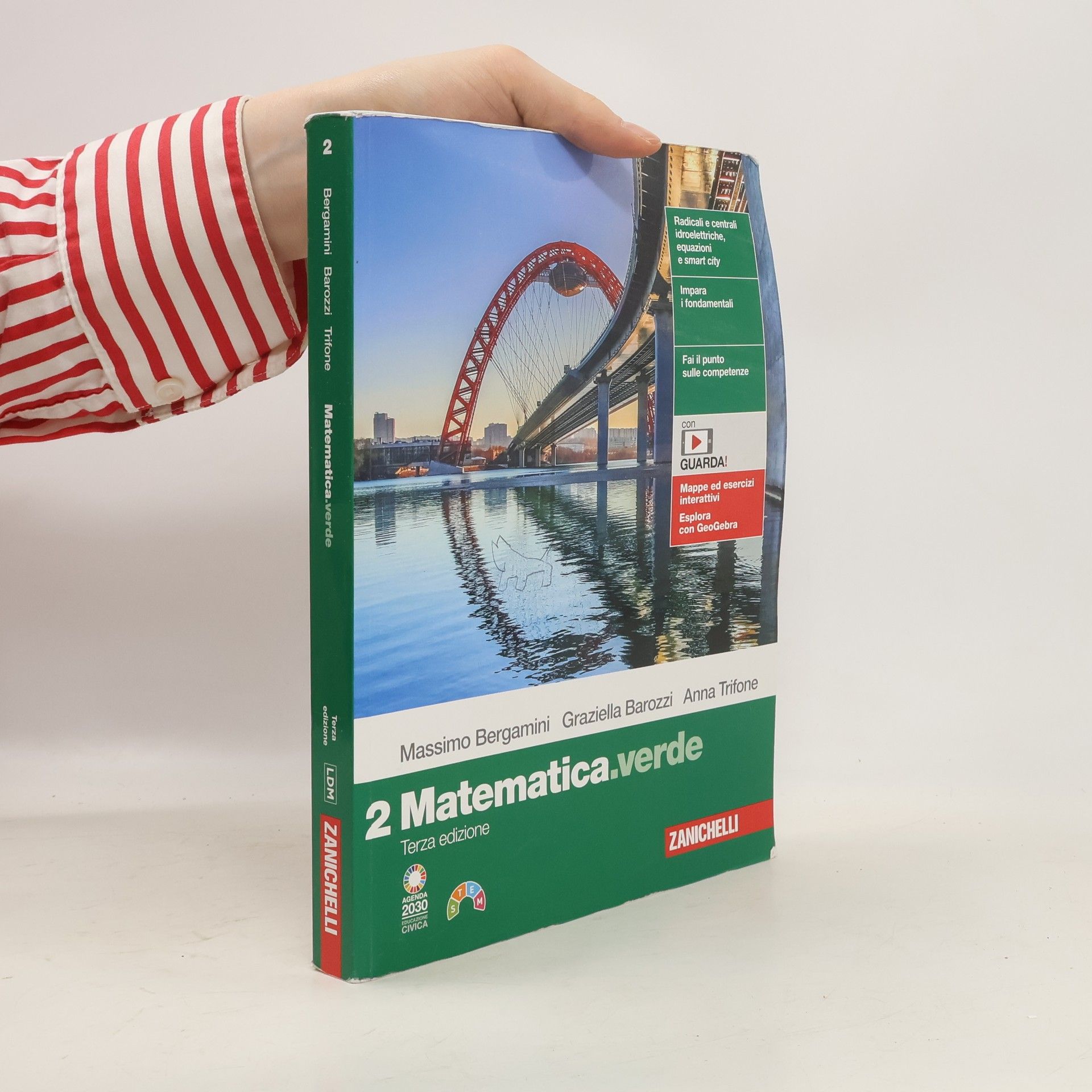 Massimo Bergamini Matematica.verde 2