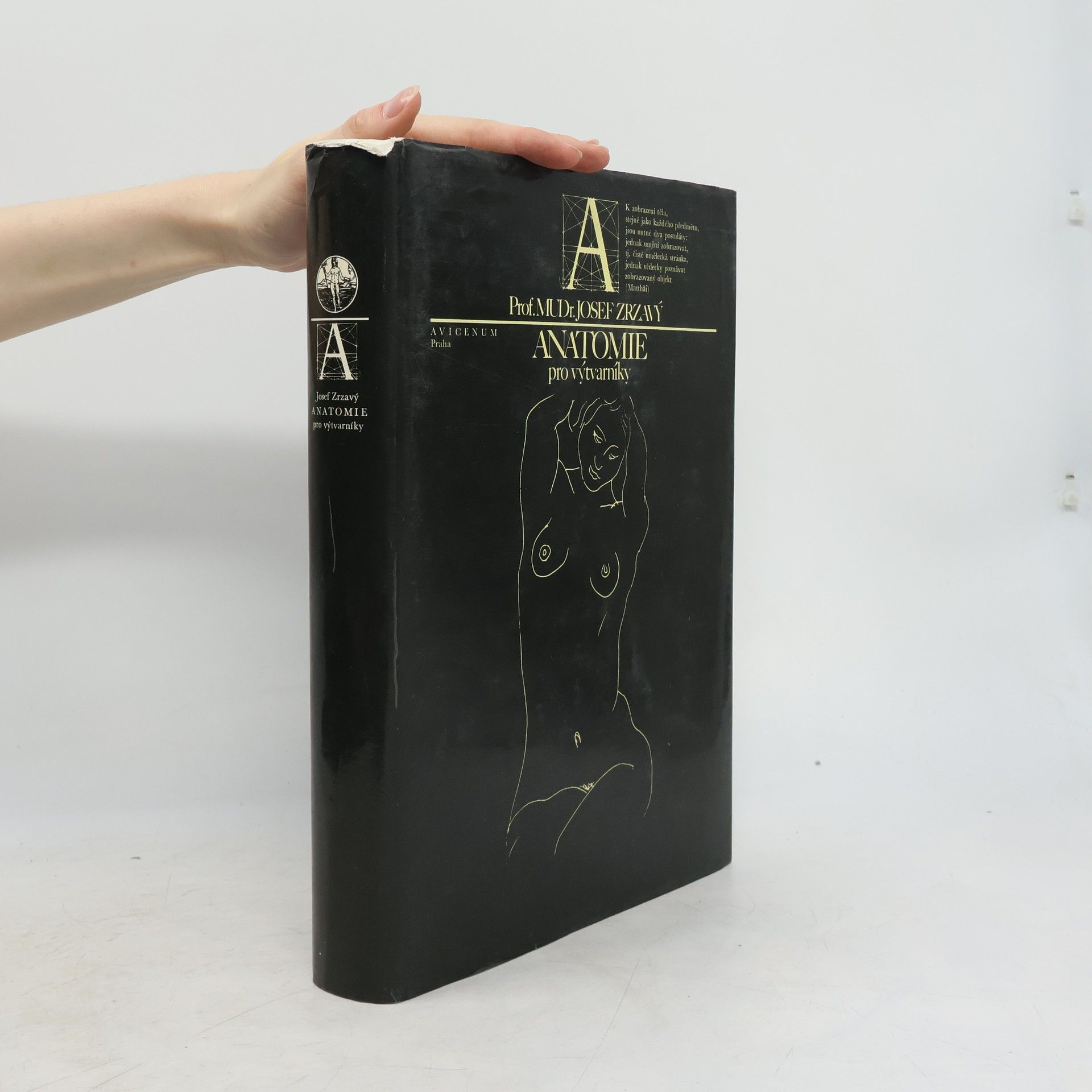 Anatomie pro výtvarníky