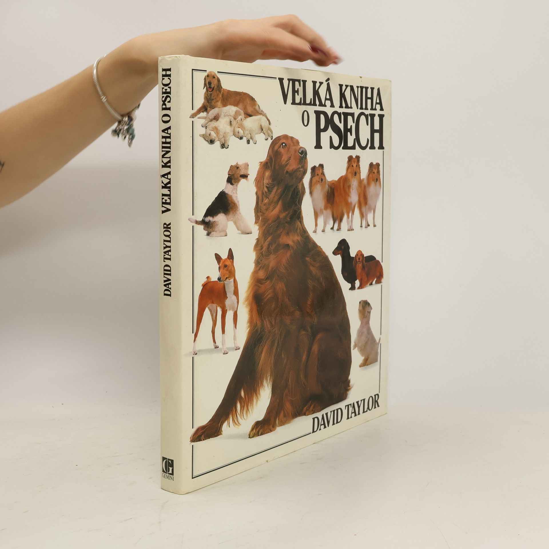 David Taylor Velká kniha o psech
