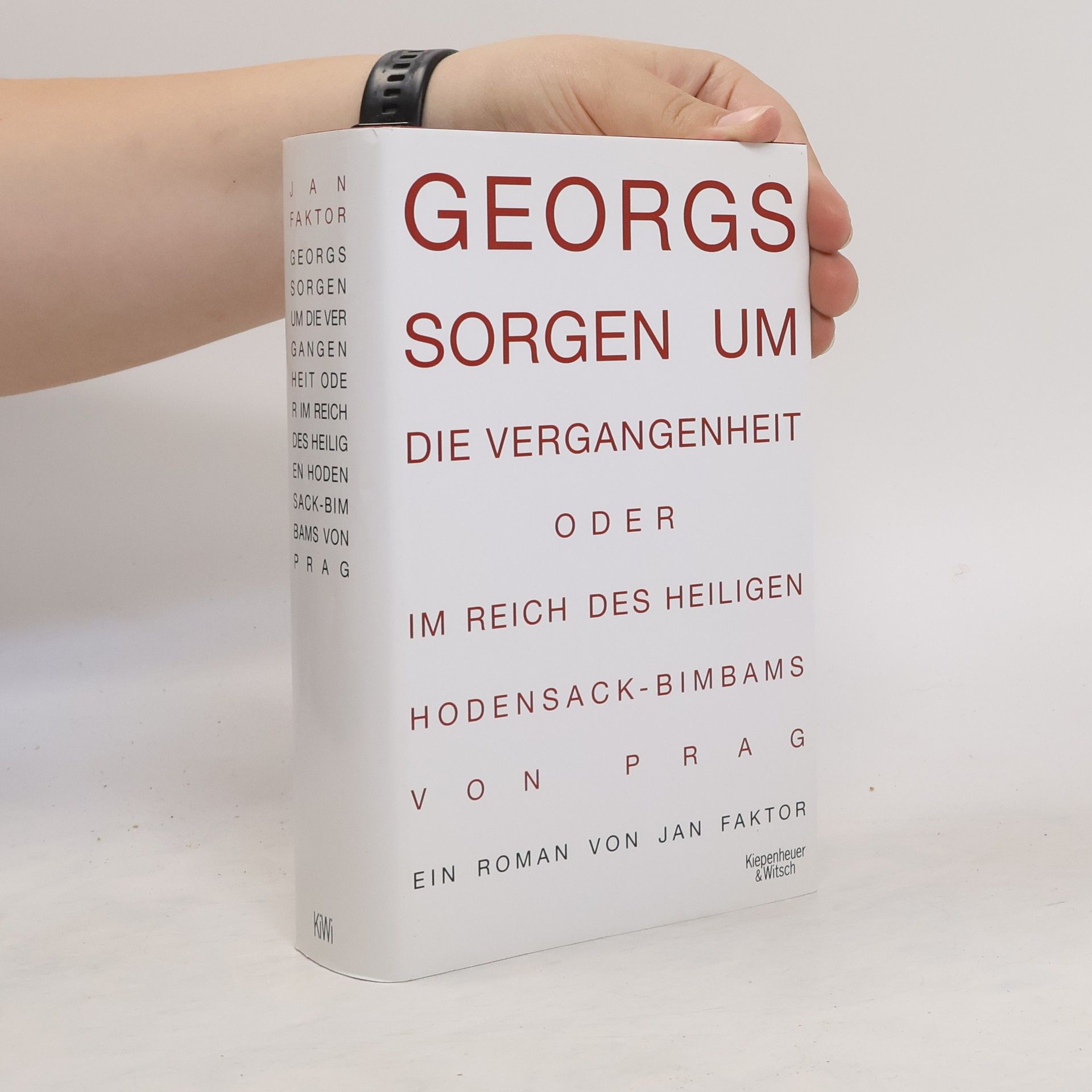 Jan Faktor Georgs Sorgen um die Vergangenheit oder im Reich des heiligen Hodensack-Bimbams von Prag