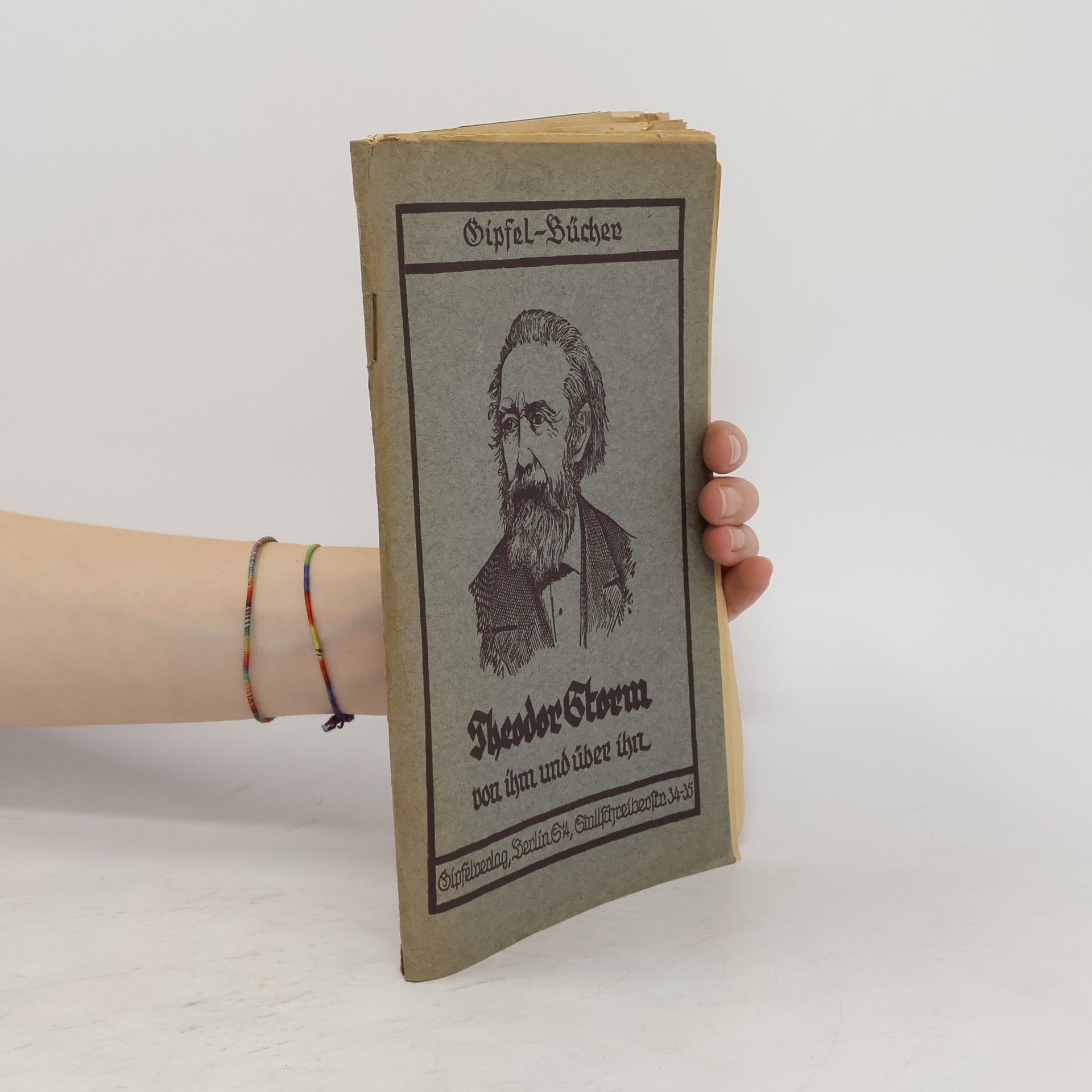 Collectif d'auteurs Gipfel-Bücher. Theodor Storm von ihm und über ihn