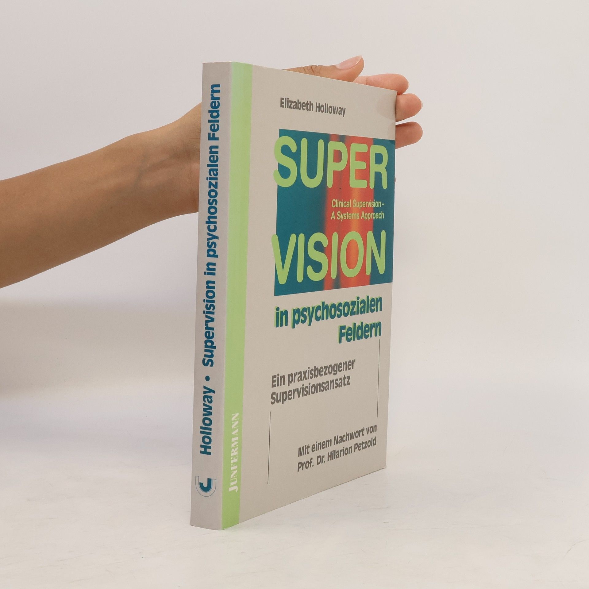 Elizabeth Holloway Supervision in psychosozialen Feldern