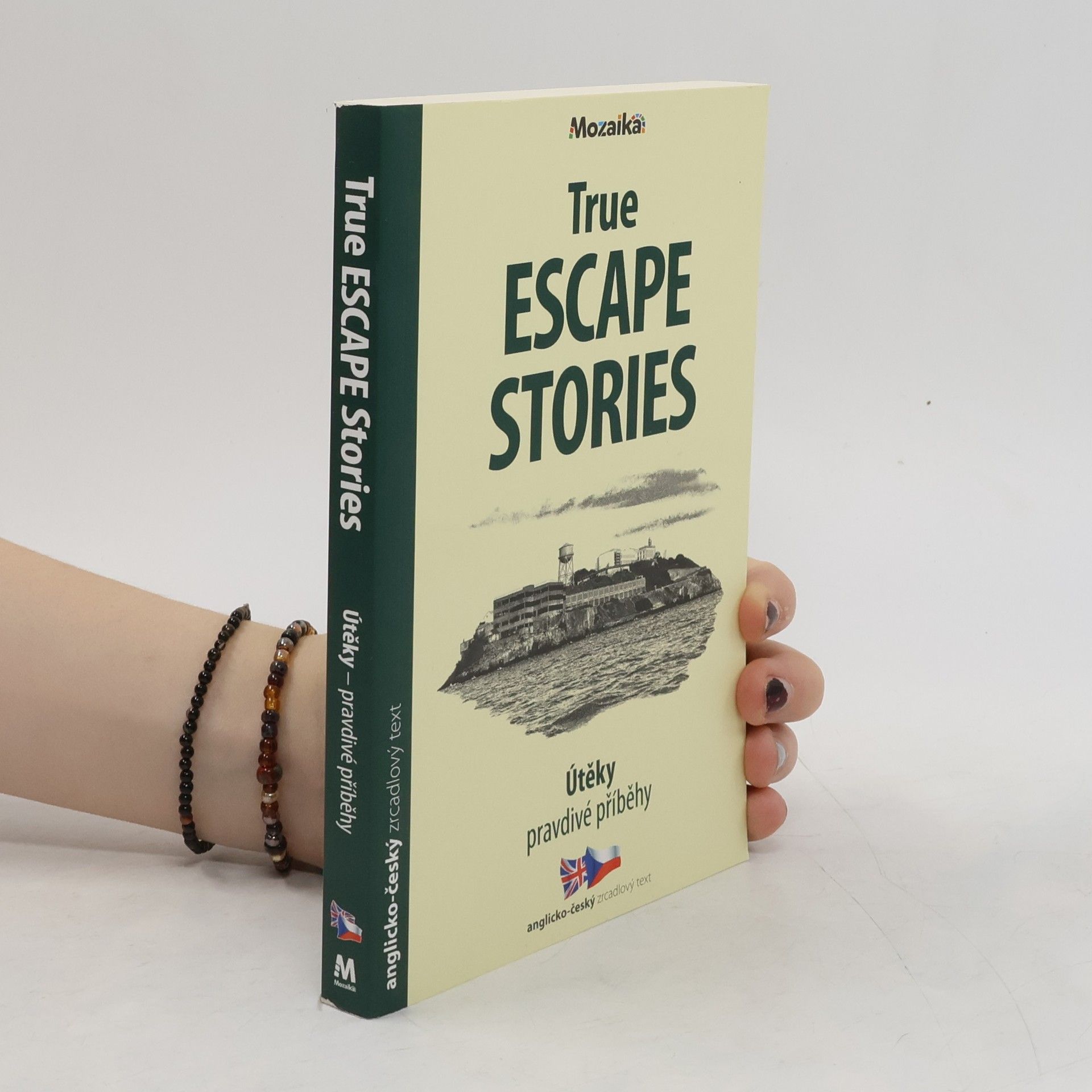 Paul Dowswell Útěky: Pravdivé příběhy / True Escape Stories