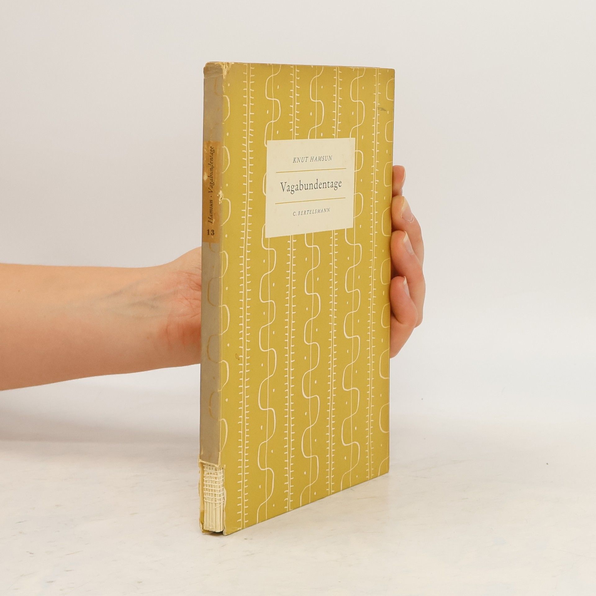 Knut Hamsun Vagabundentage