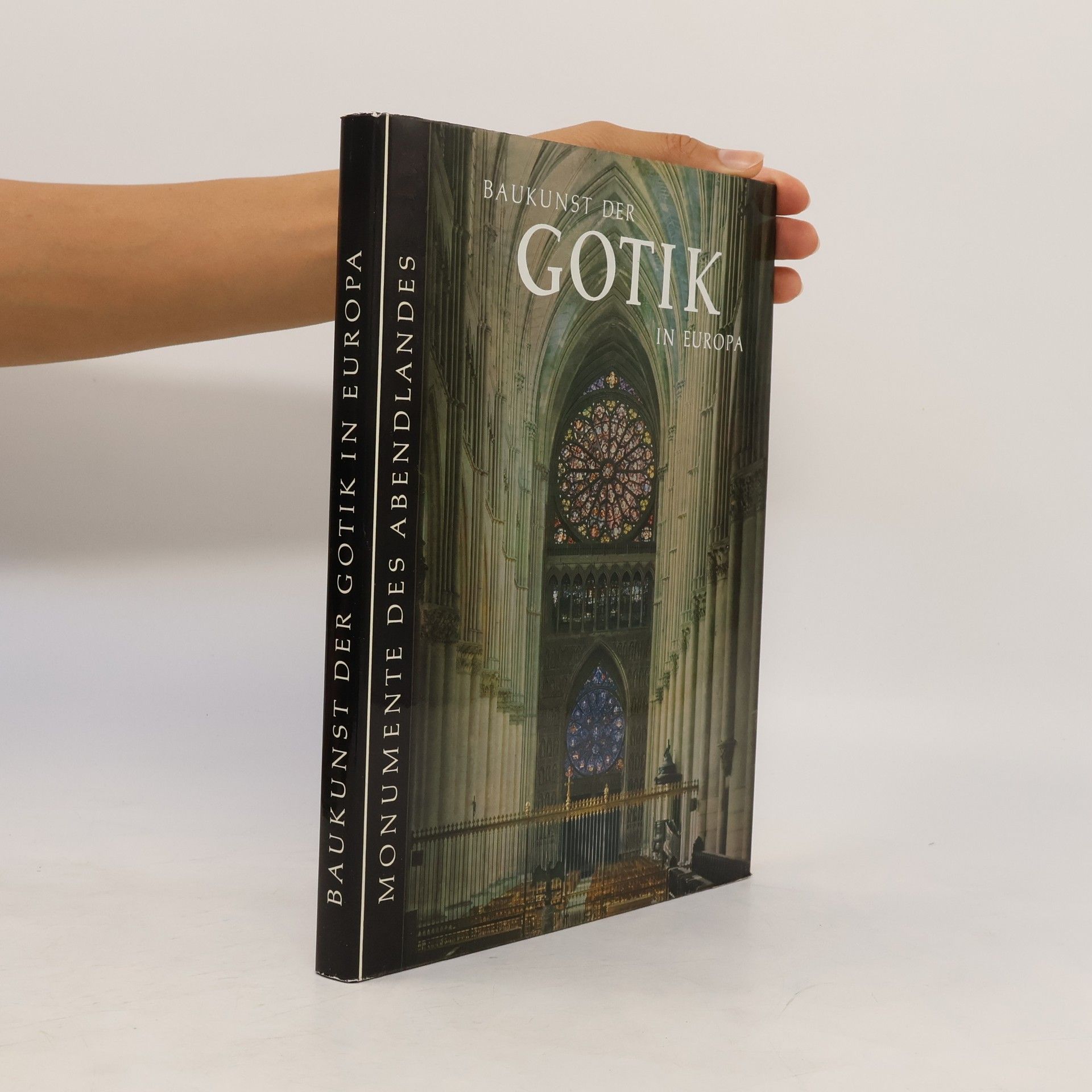 AA.VV. Baukunst der Gotik in Europa