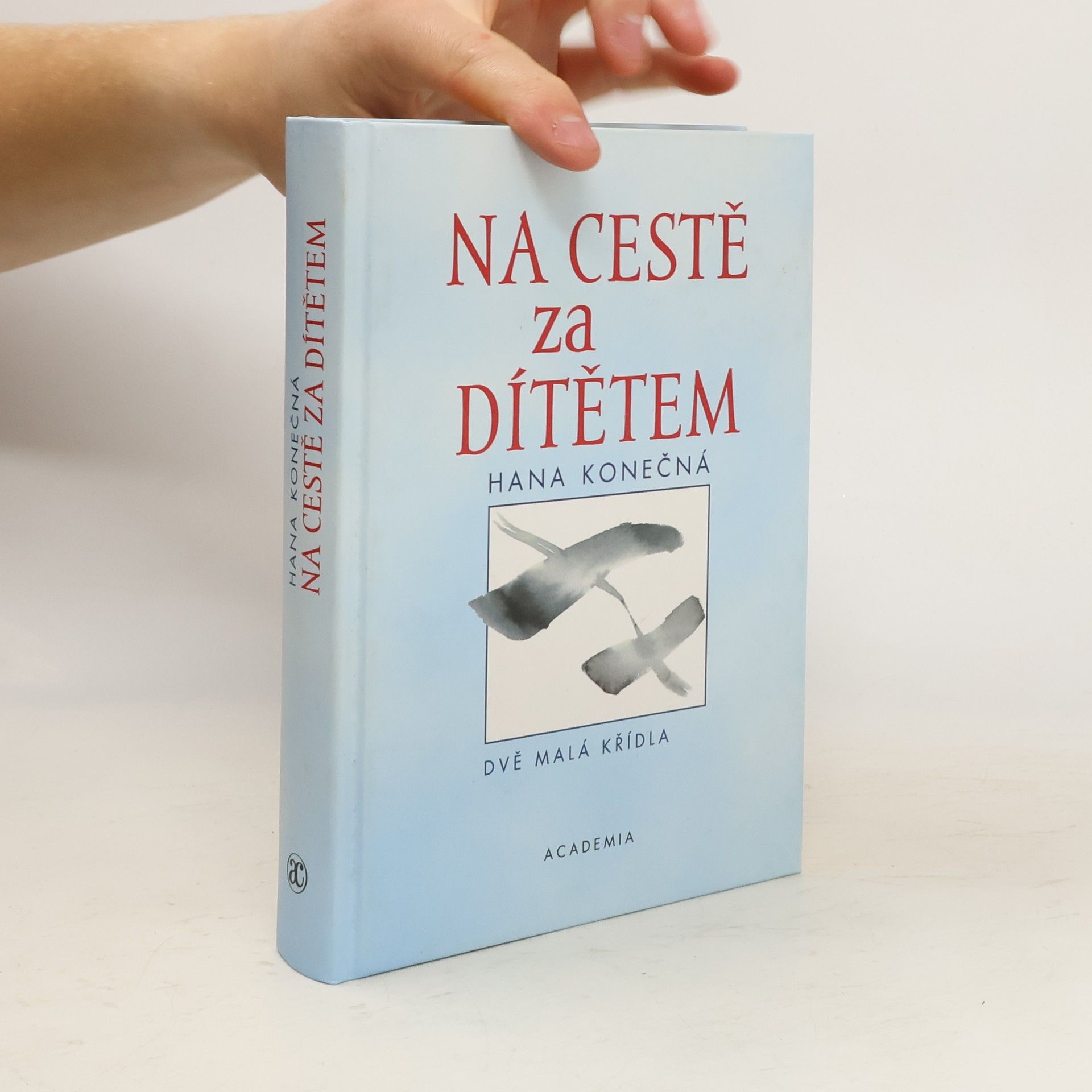 Hana Konečná Na cestě za dítětem. Dvě malá křídla