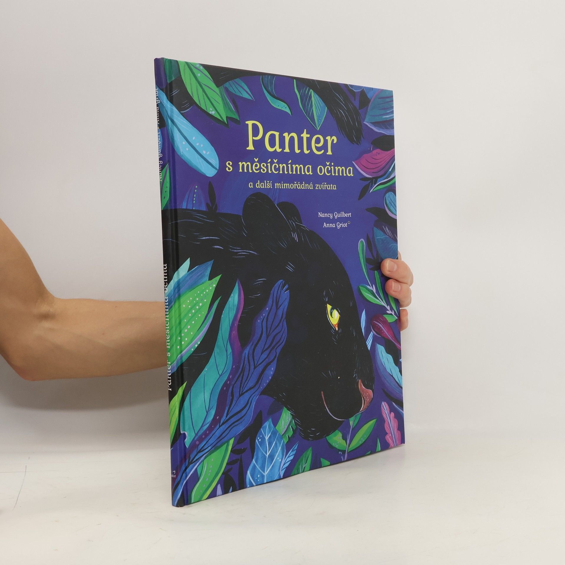 Anna Mabbettová Panter s měsíčníma očima a další mimořádná zvířata