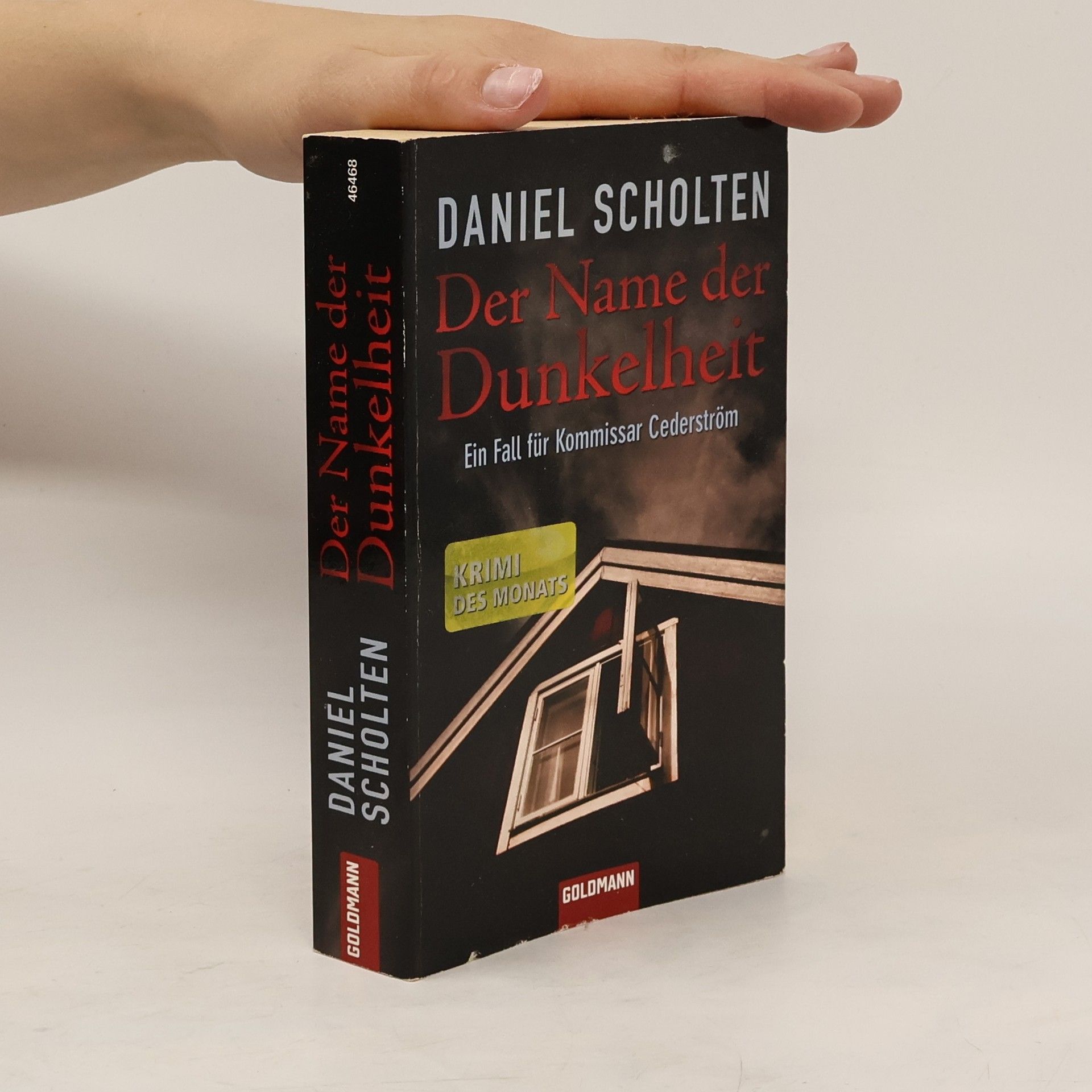 Daniel Scholten Der Name der Dunkelheit