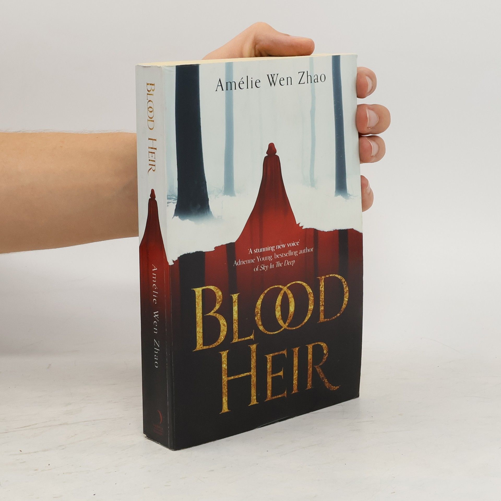 Amélie Wen Zhao Blood Heir