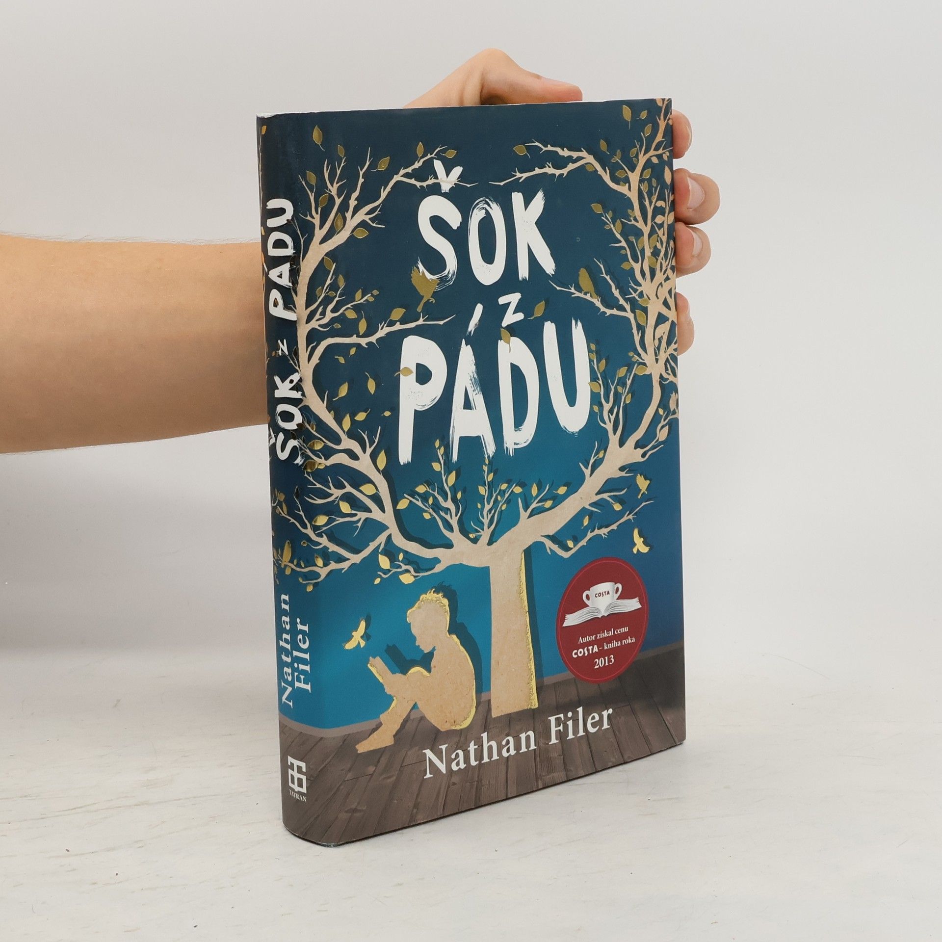 Nathan Filer Šok z pádu