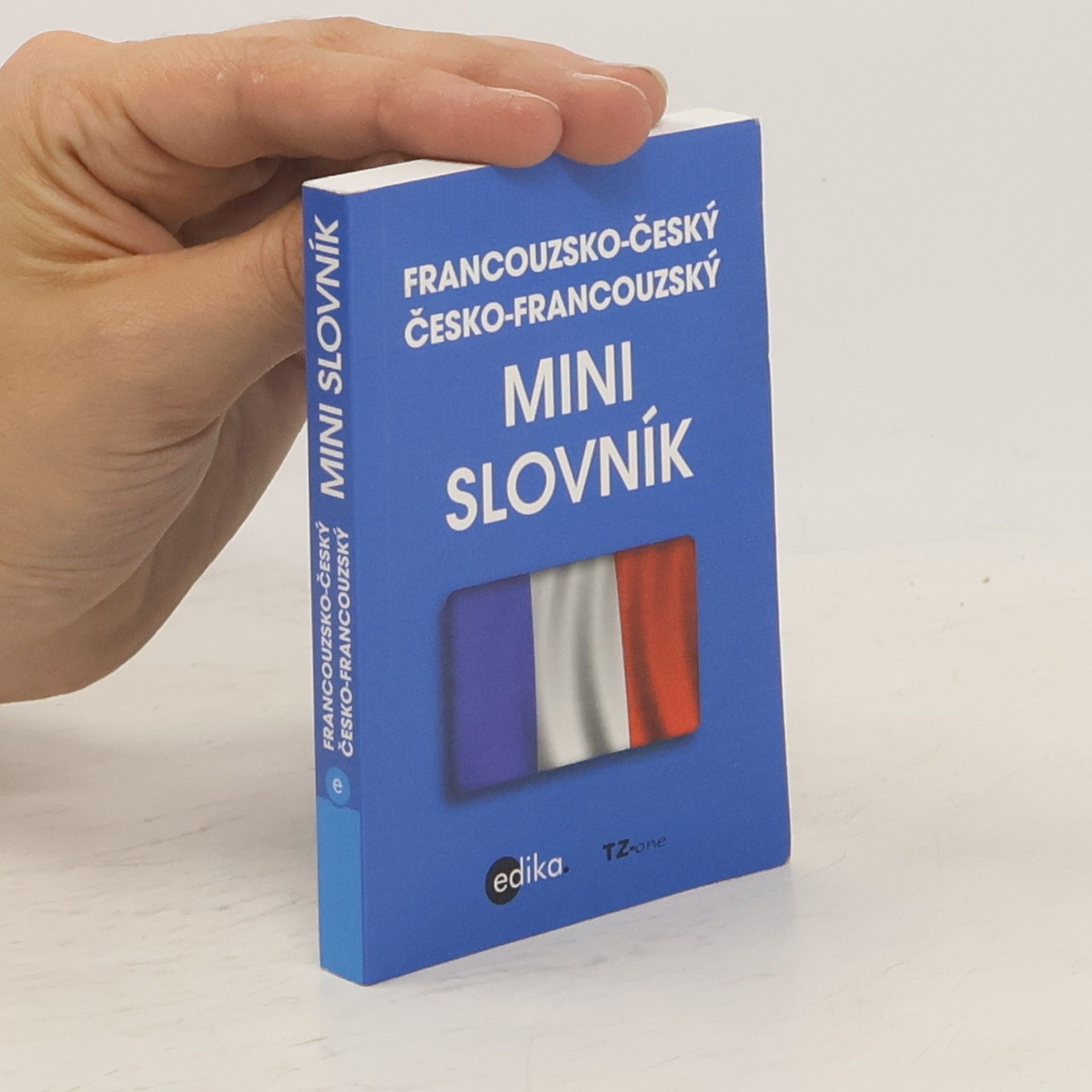 Collective Francouzsko-český, česko-francouzský mini slovník