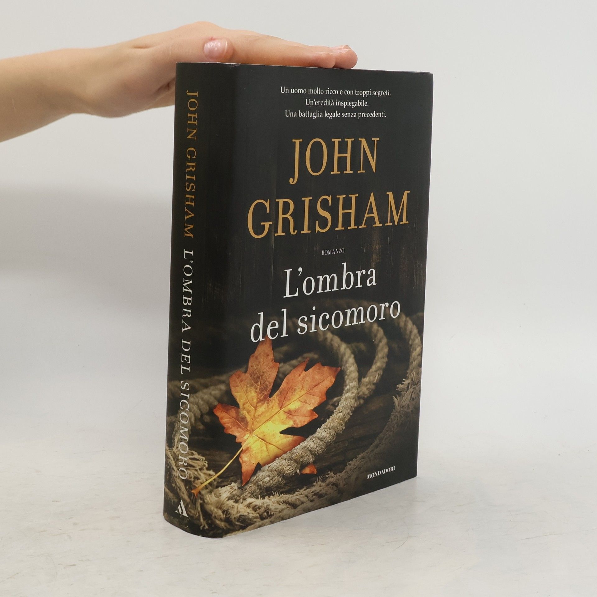 John Grisham L'ombra del sicomoro