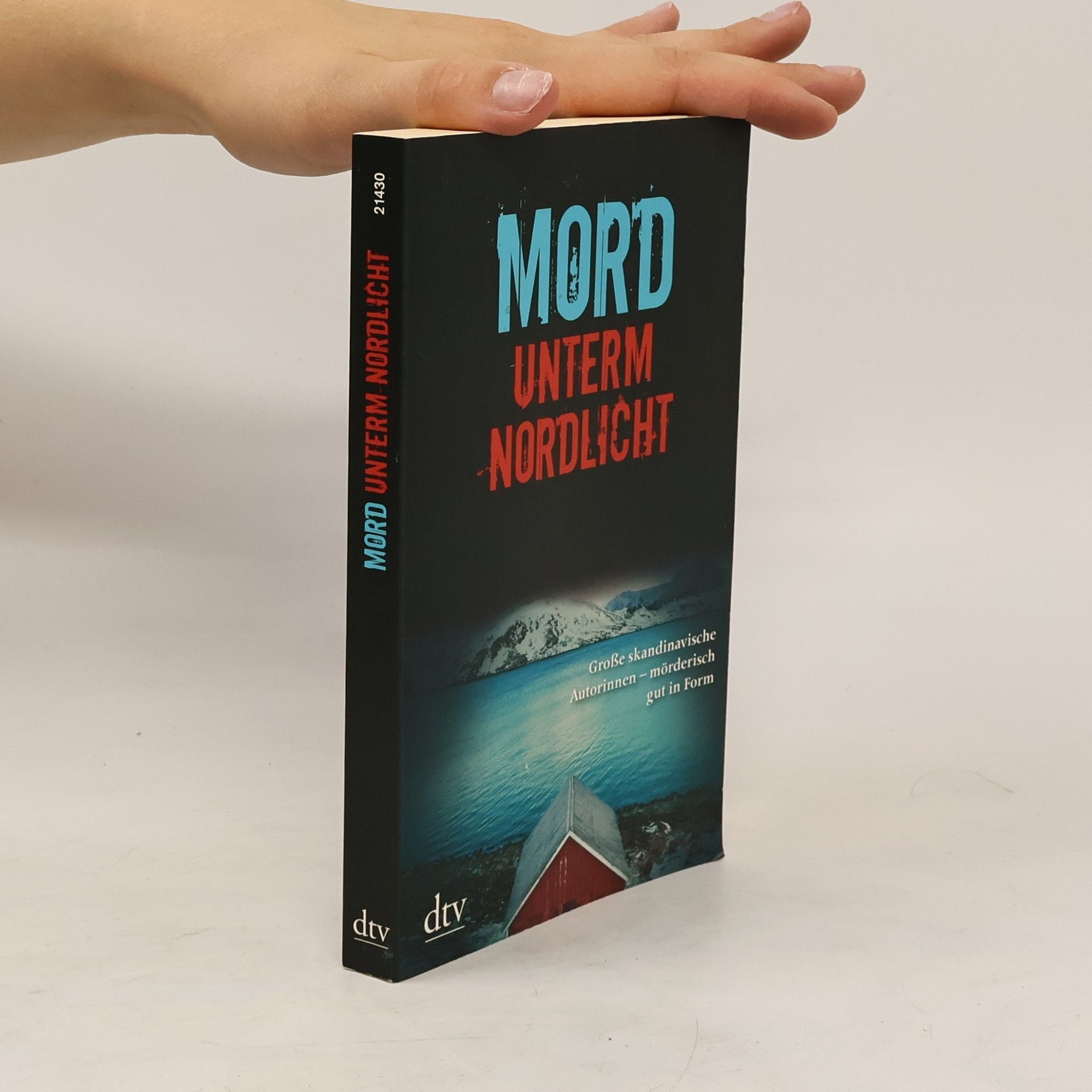 Gabriele Haefs Mord unterm Nordlicht