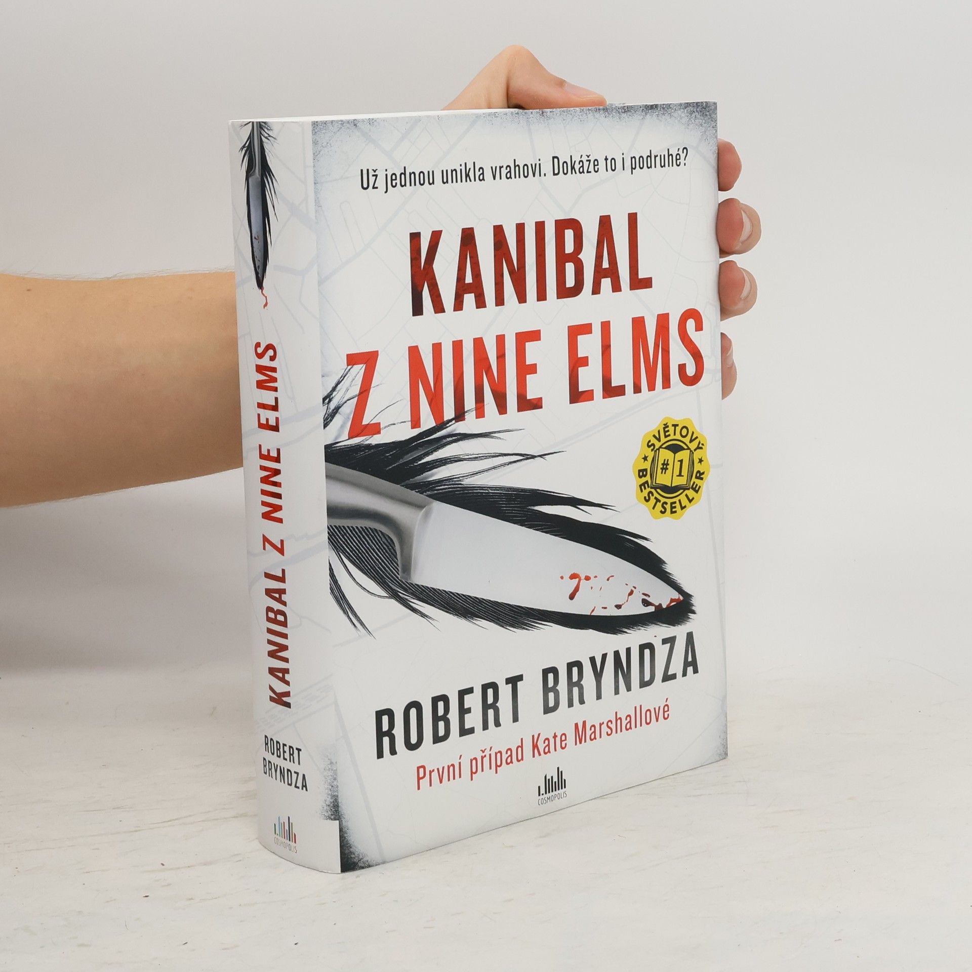 Robert Bryndza Kanibal z Nine Elms