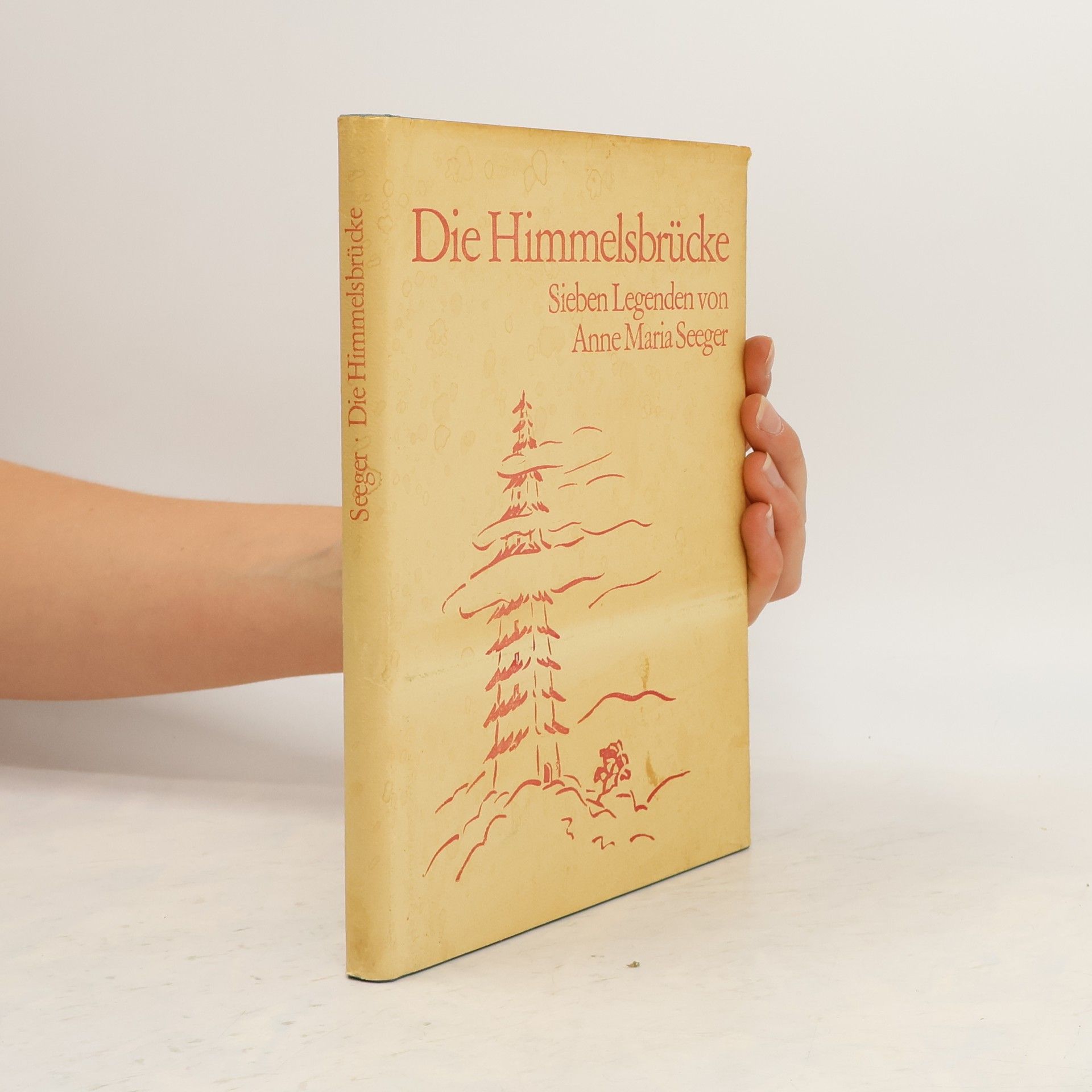 Anne Maria Seeger Die Himmelsbrücke