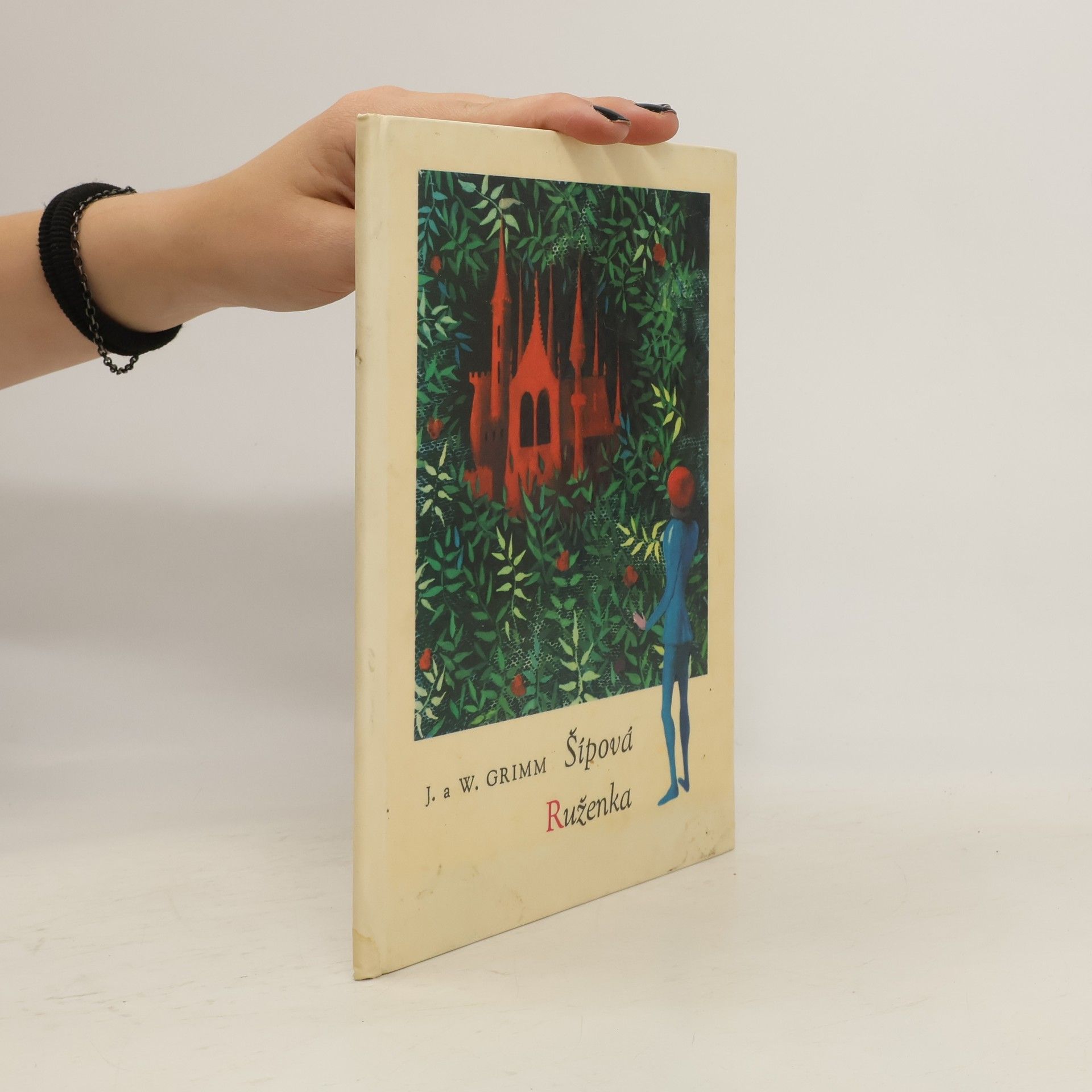 Jacob Grimm Šípová Ruženka