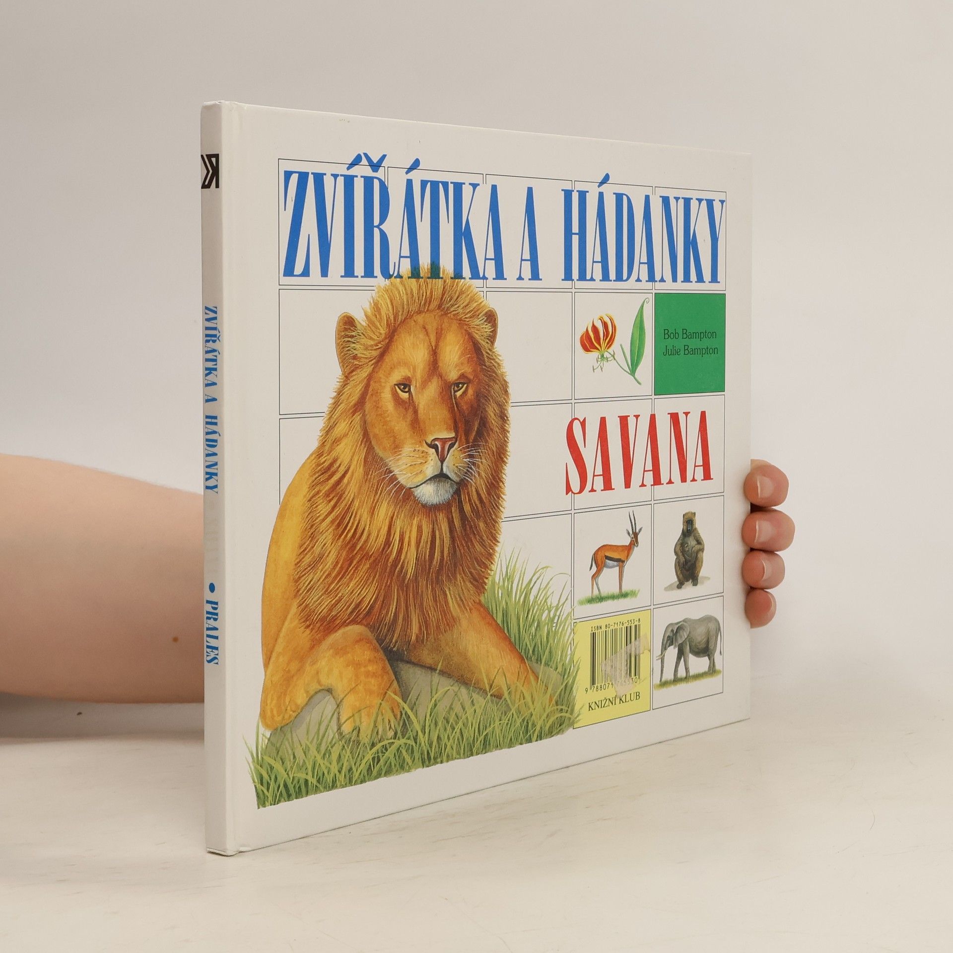 Bob Bampton Zvířátka a hádanky - Prales / Savana