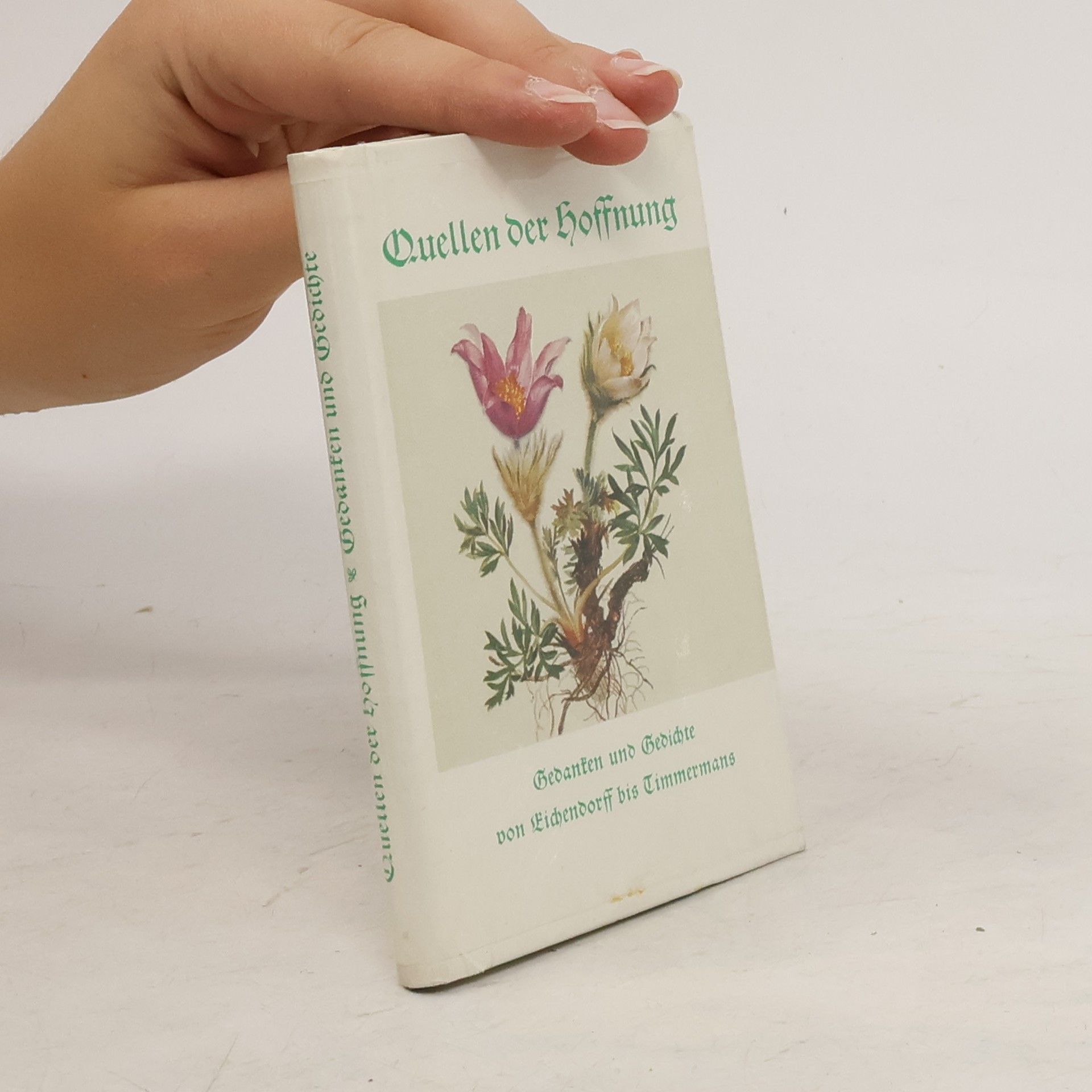 Eugen Hettinger Quellen der Hoffnung