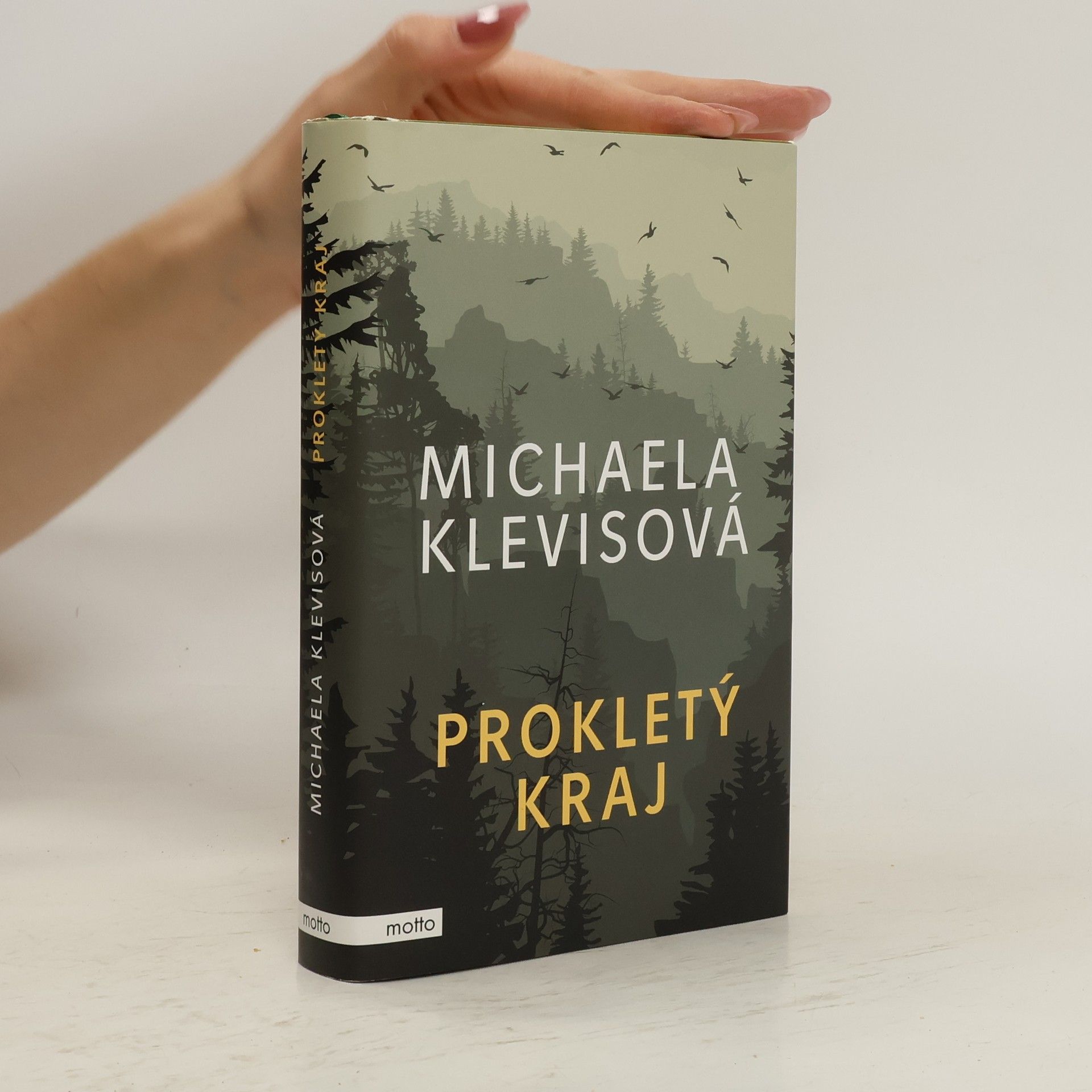 Sarina Bowen Když jsme se skrývali