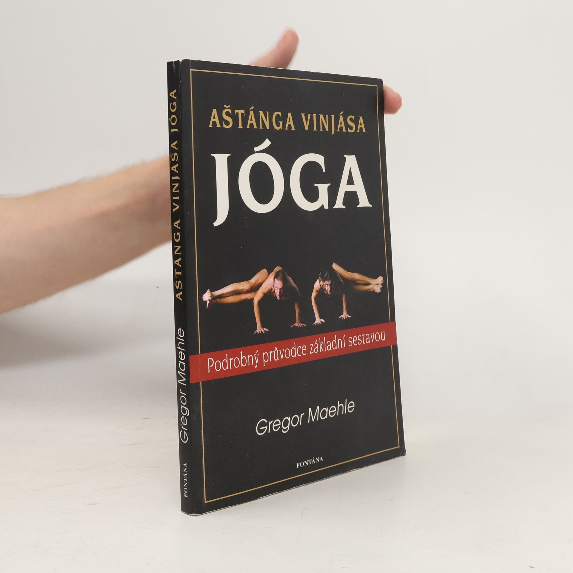 Gregor Maehle Aštánga vinjása jóga
