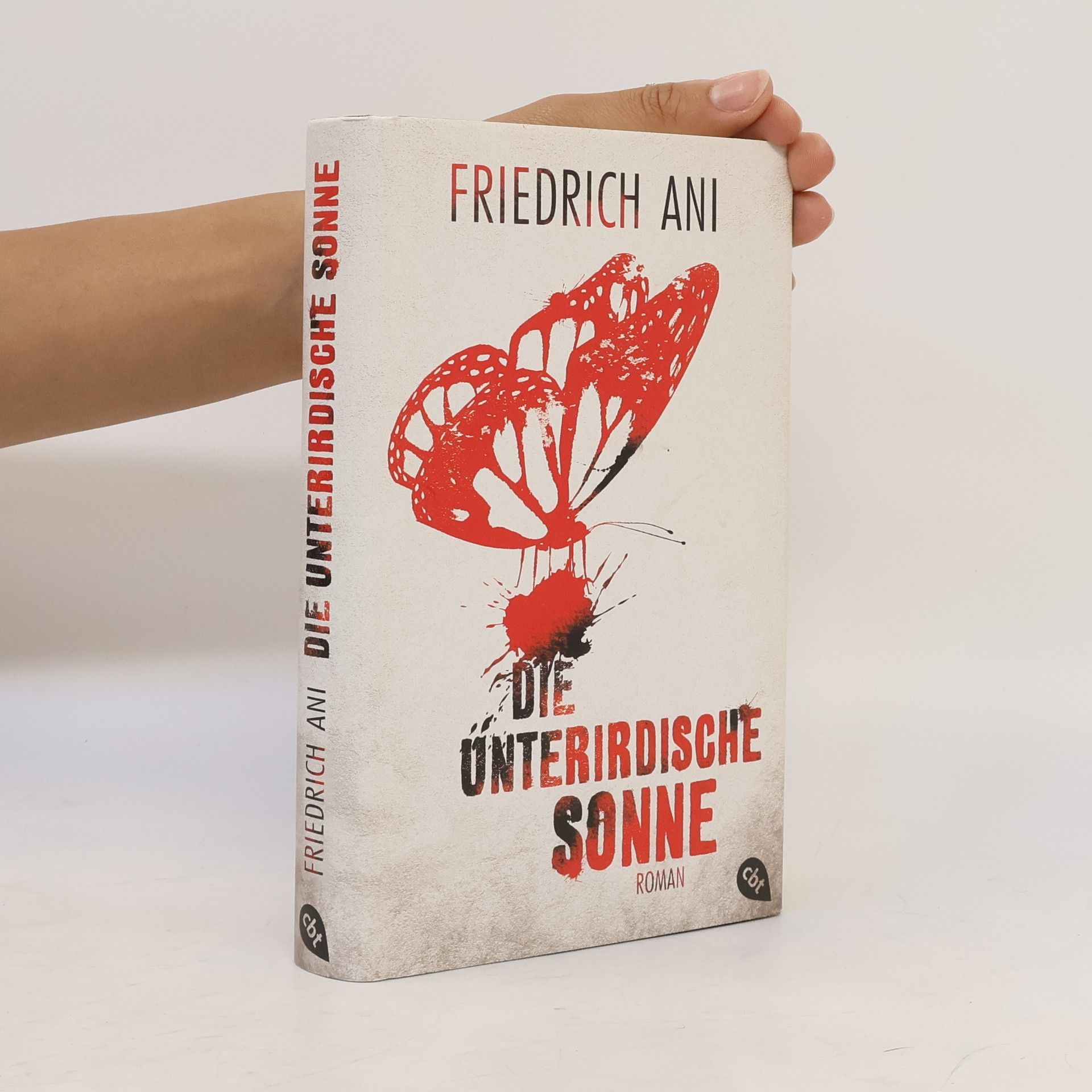 Friedrich Ani Die unterirdische Sonne