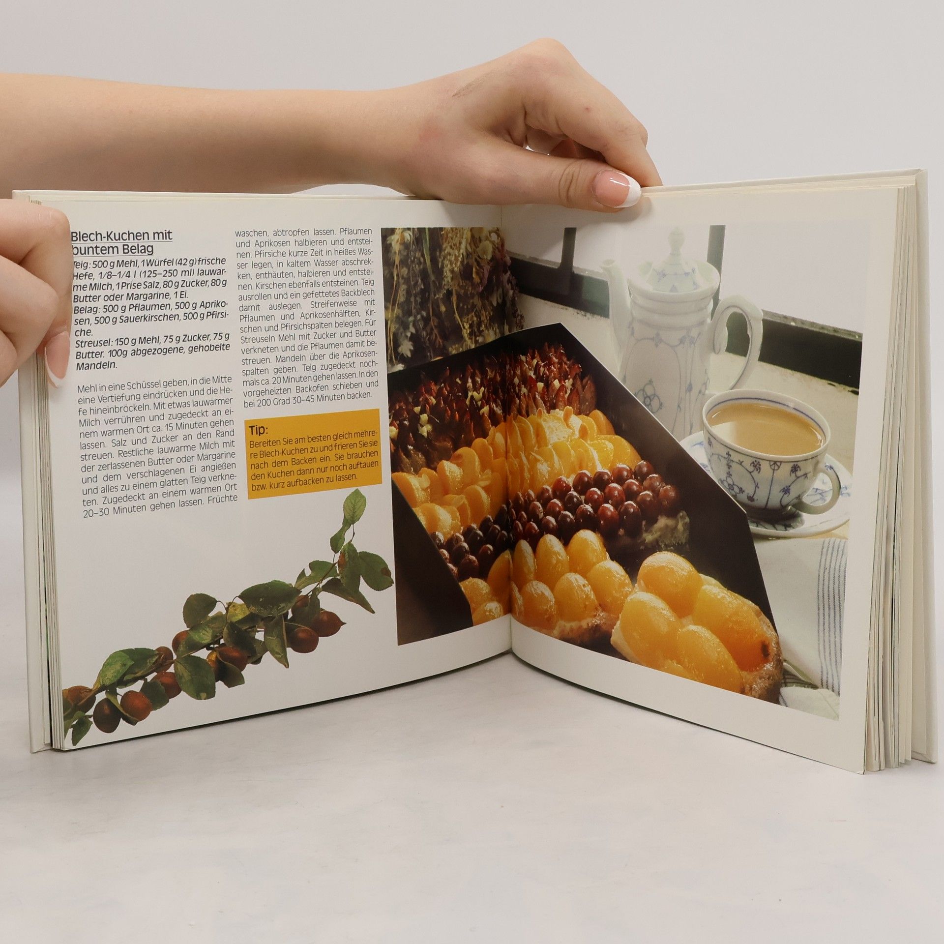 Autorenkollektiv Das 4 Jahreszeiten. Obst und Geműsebuch