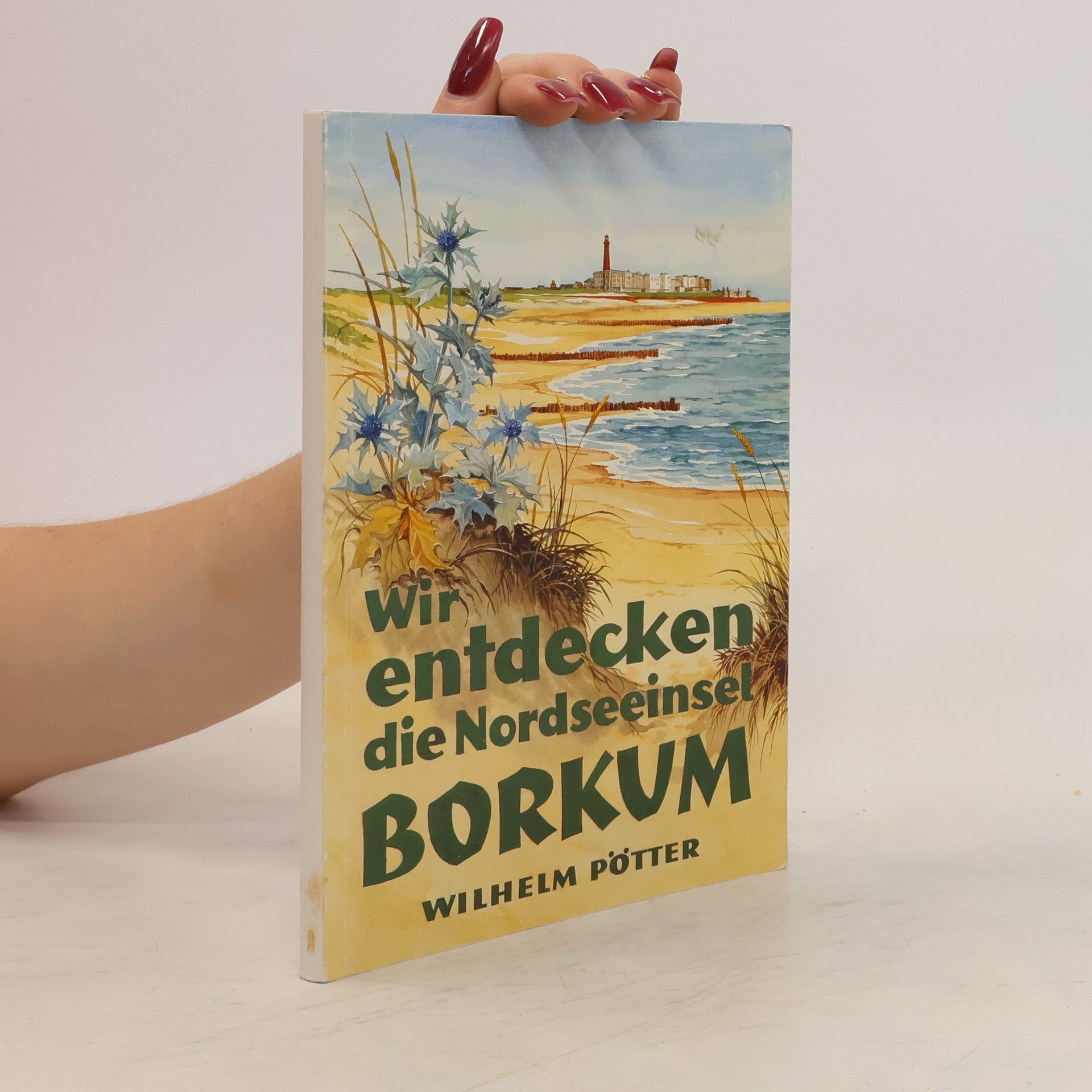 Wilhelm Pötters Wir entdecken die Nordseeinsel Borkum