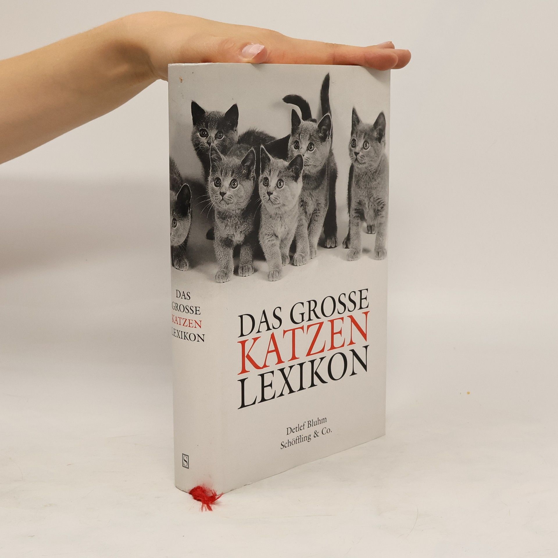 Detlef Bluhm Das grosse Katzen-Lexikon
