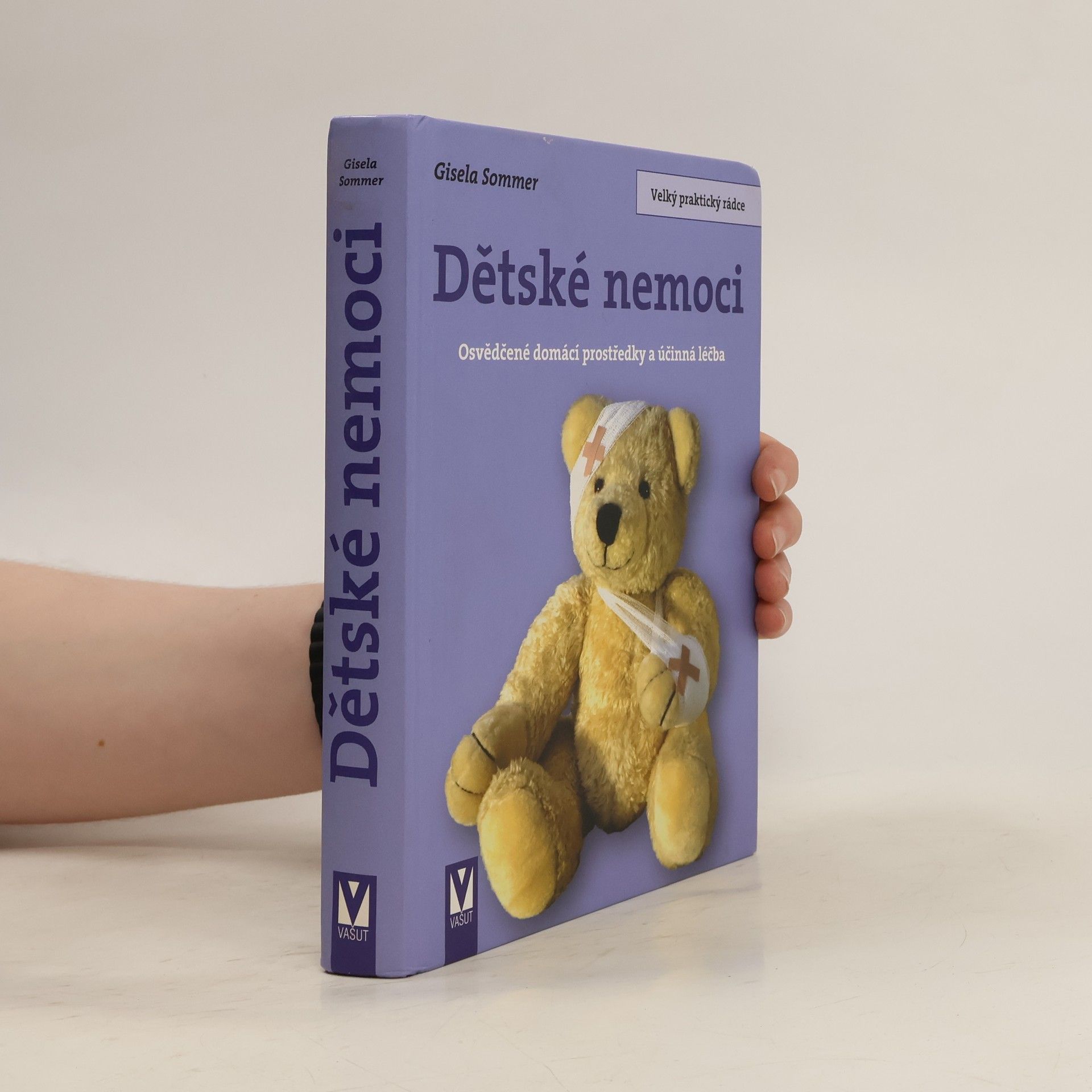 Gisela Sommer Dětské nemoci. Osvědčené domácí prostředky a účinná léčba