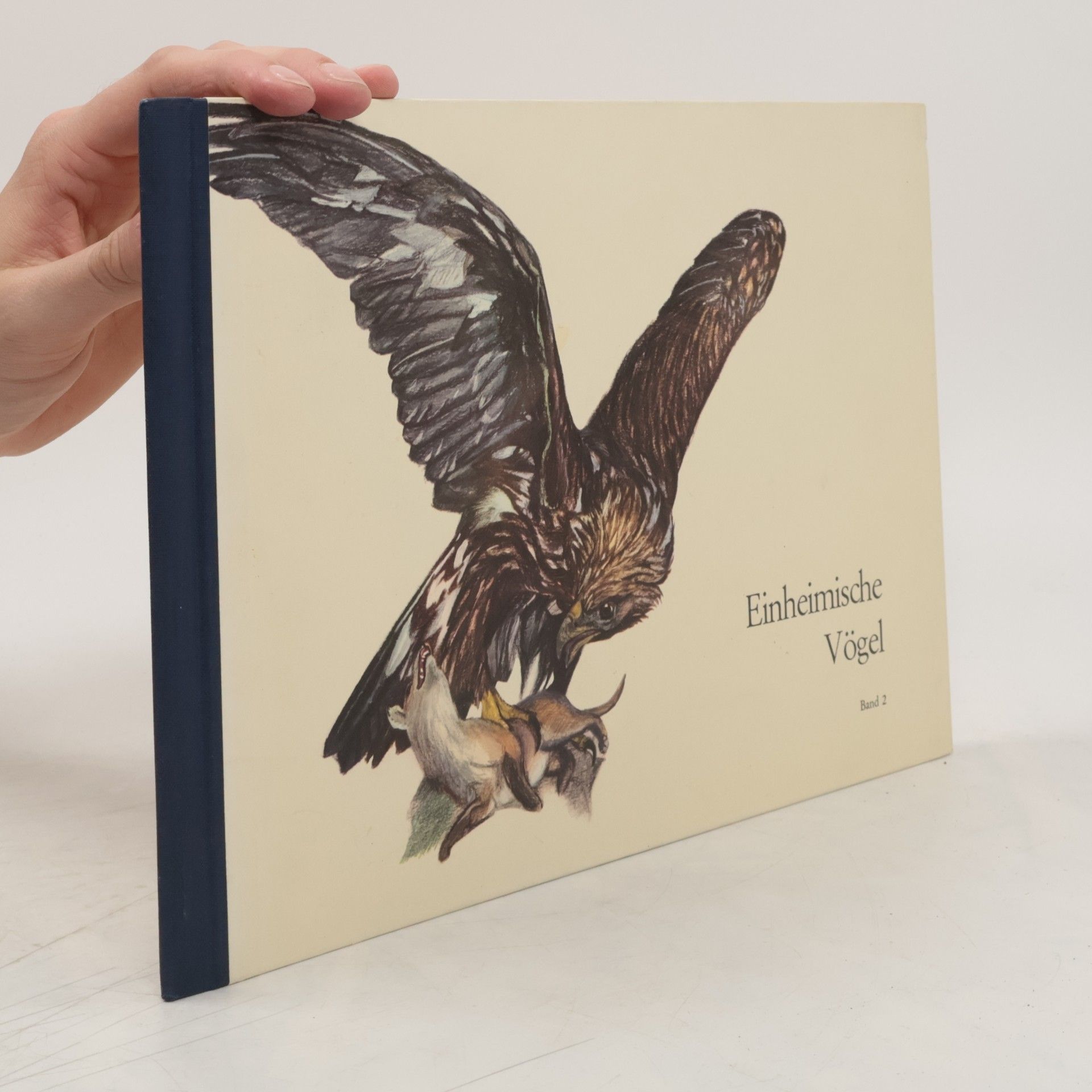 Ruth Hagner Einheimische Vögel 2