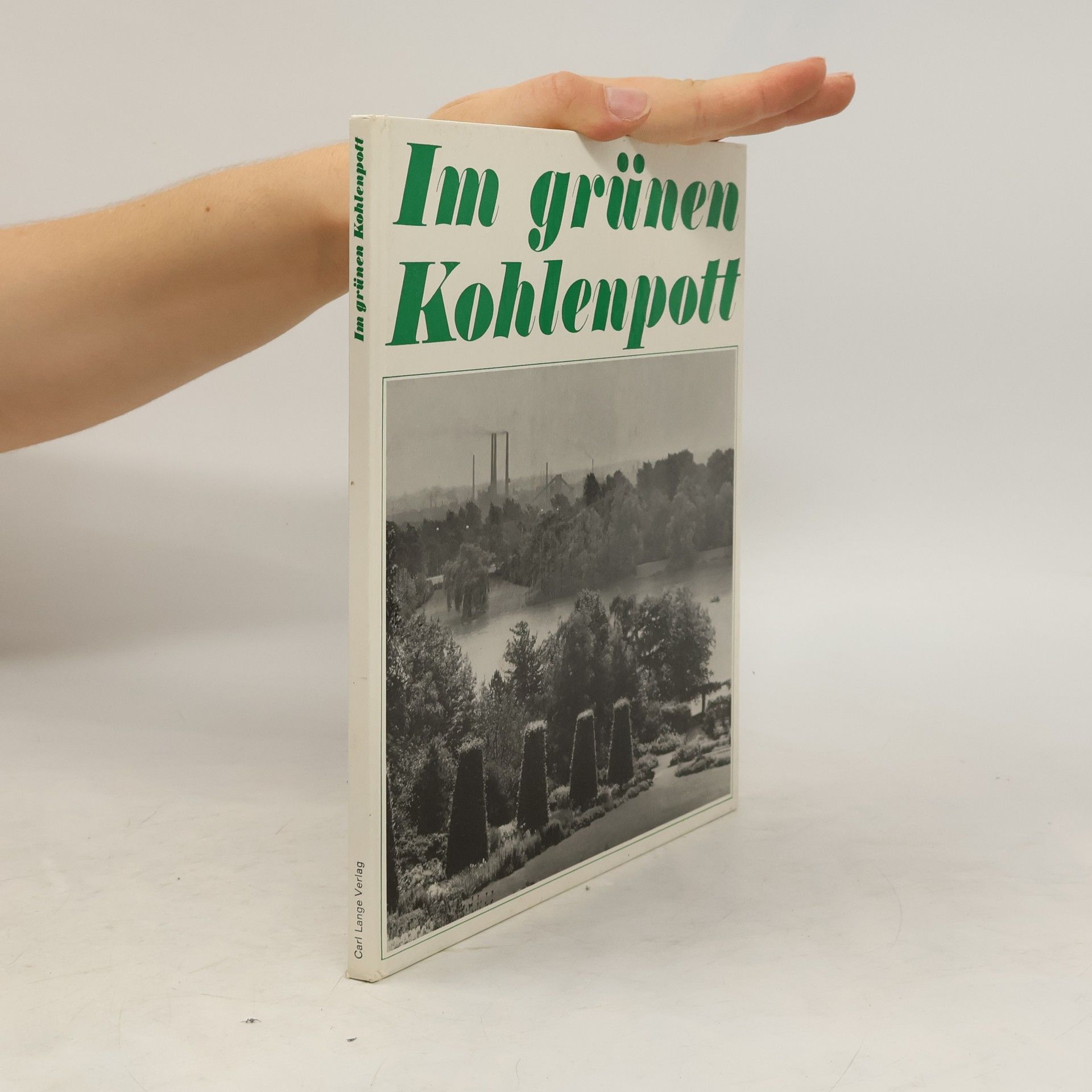 Vilma Sturm Im grünen Kohlenpott