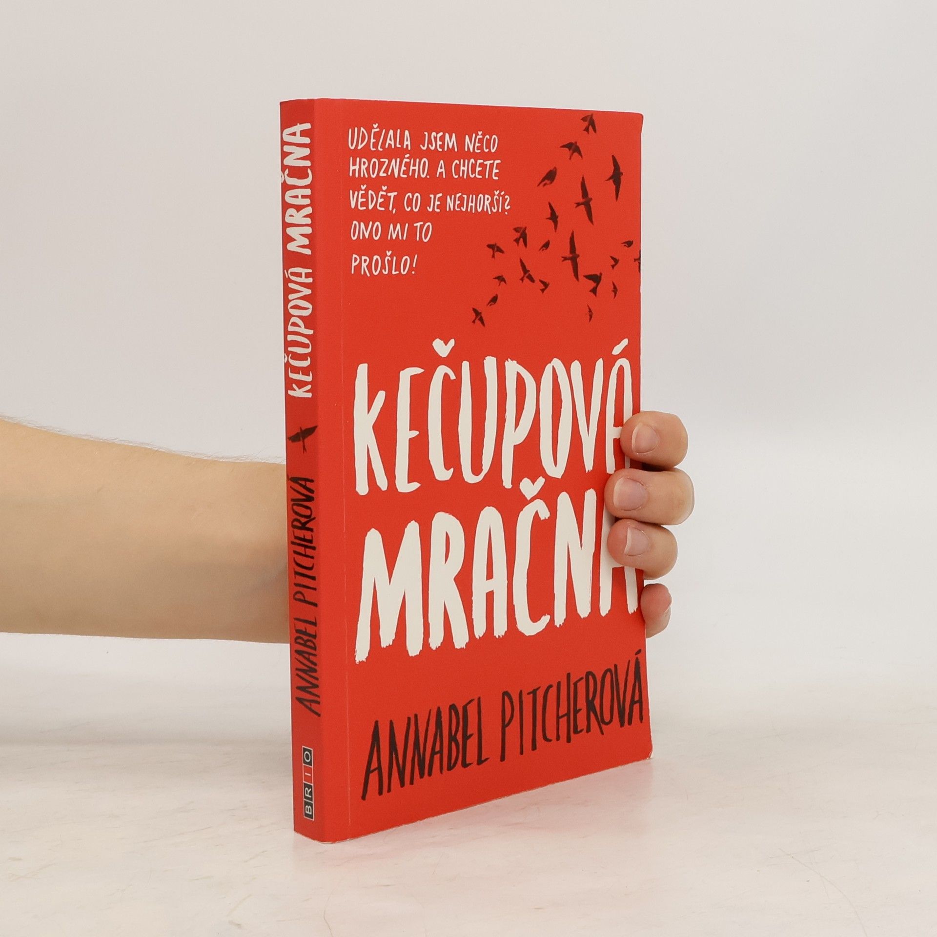 Annabel Pitcher Kečupová mračna