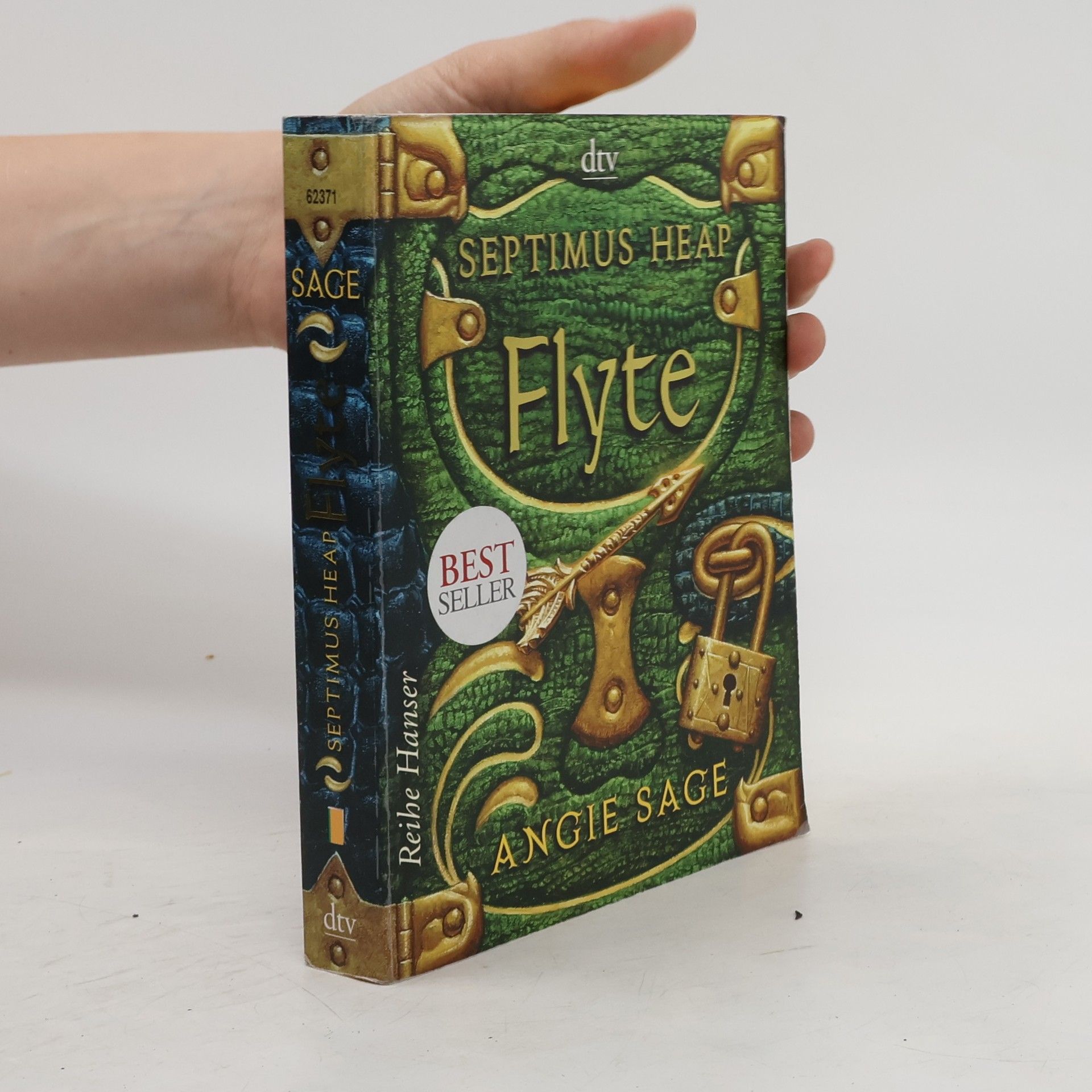 Angie Sage Septimus Heap: Flyte