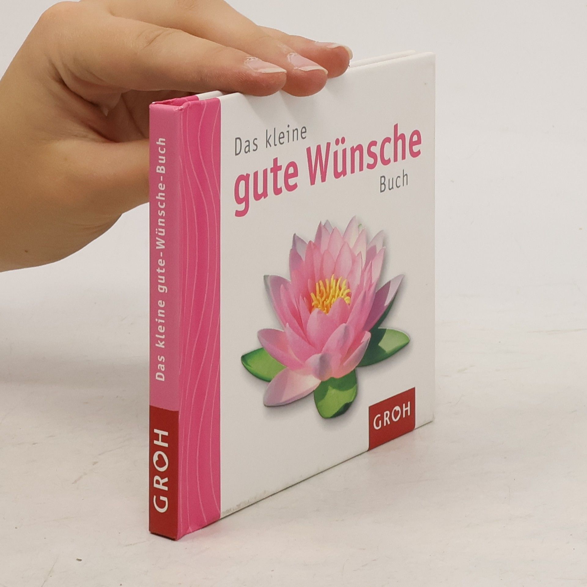Celeste Marin Das kleine gute Wünsche Buch