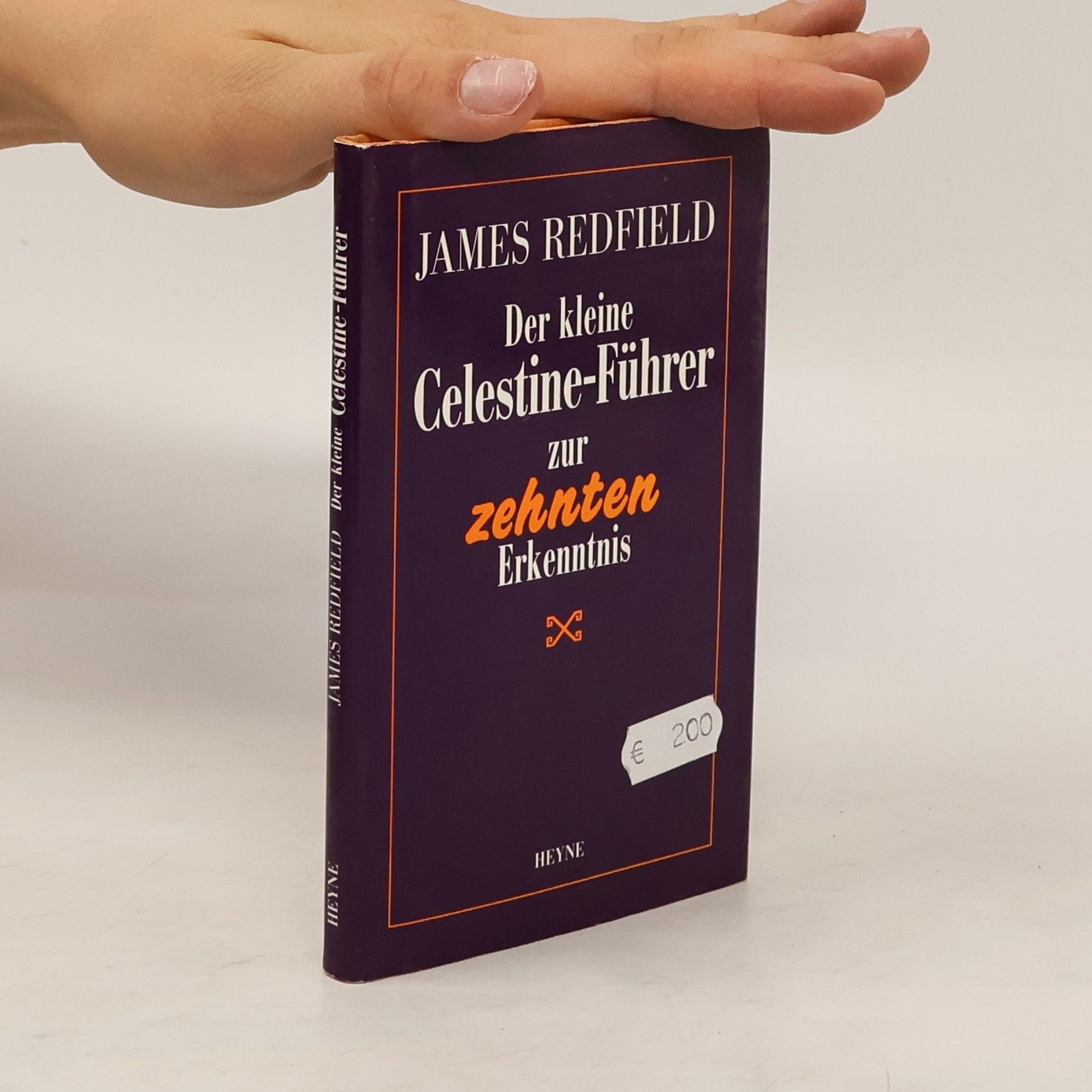 James Redfield Der kleine Celestine-Führer zur zehnten Erkenntnis