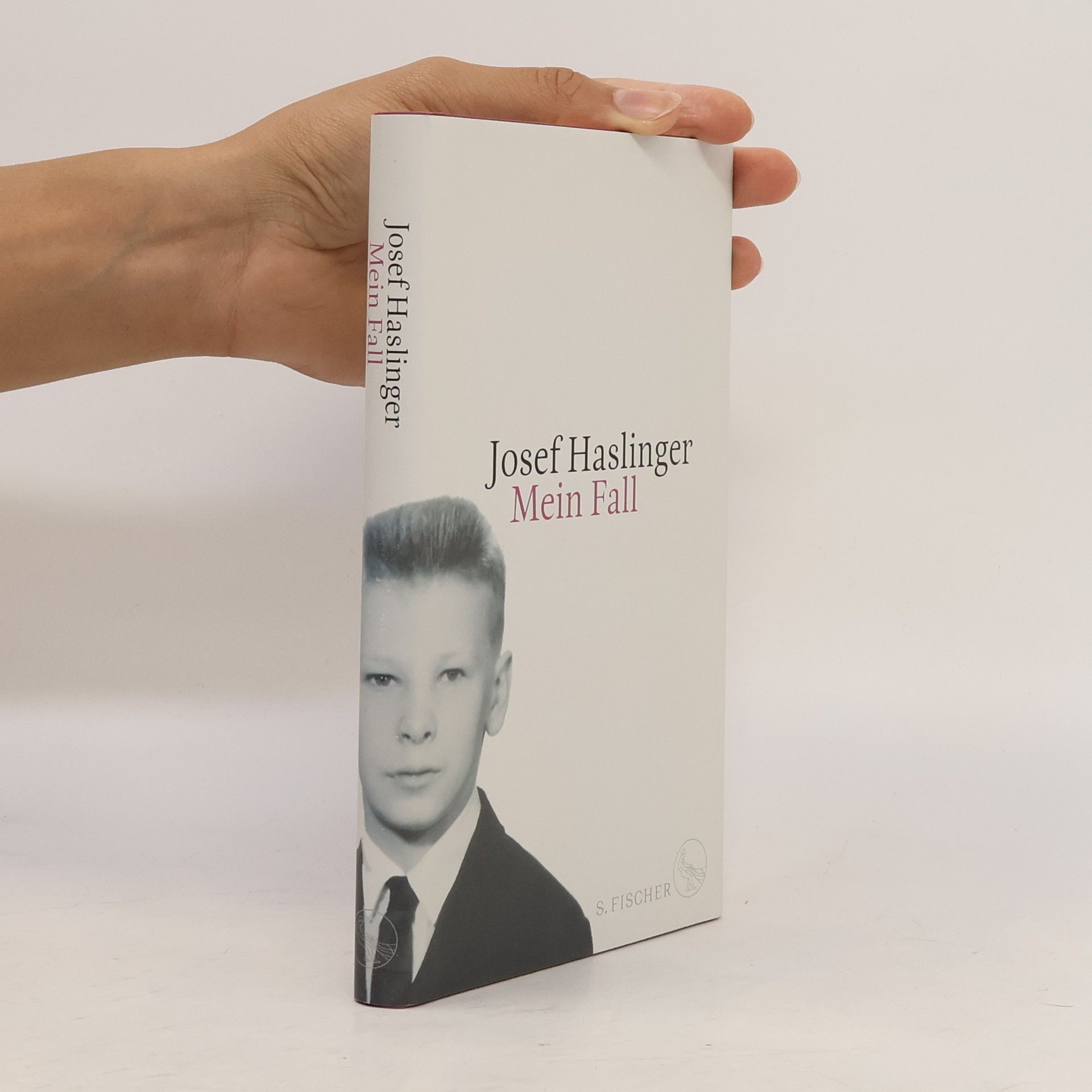 Josef Haslinger Mein Fall